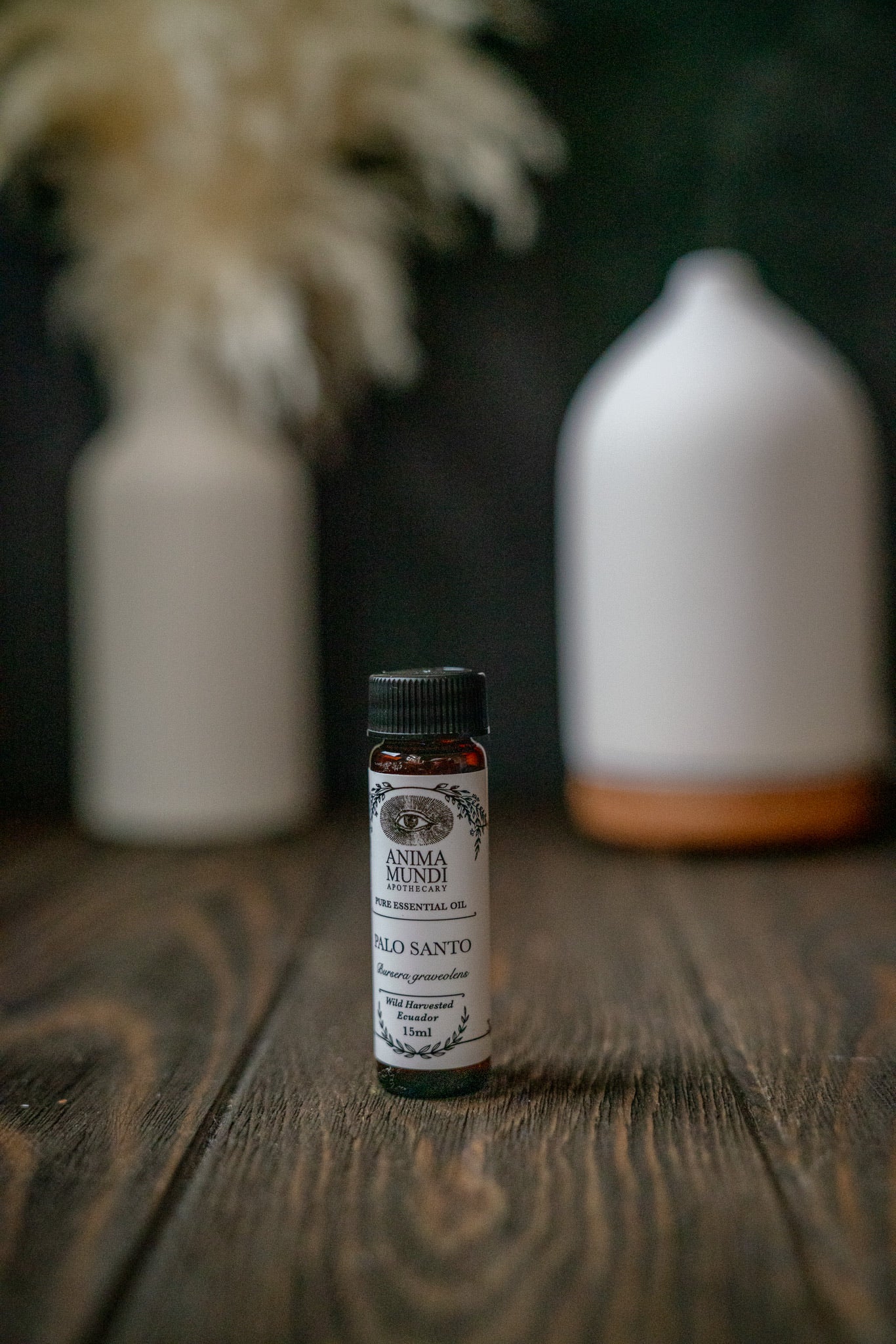 PALO SANTO Essential Oil | Wildharvested