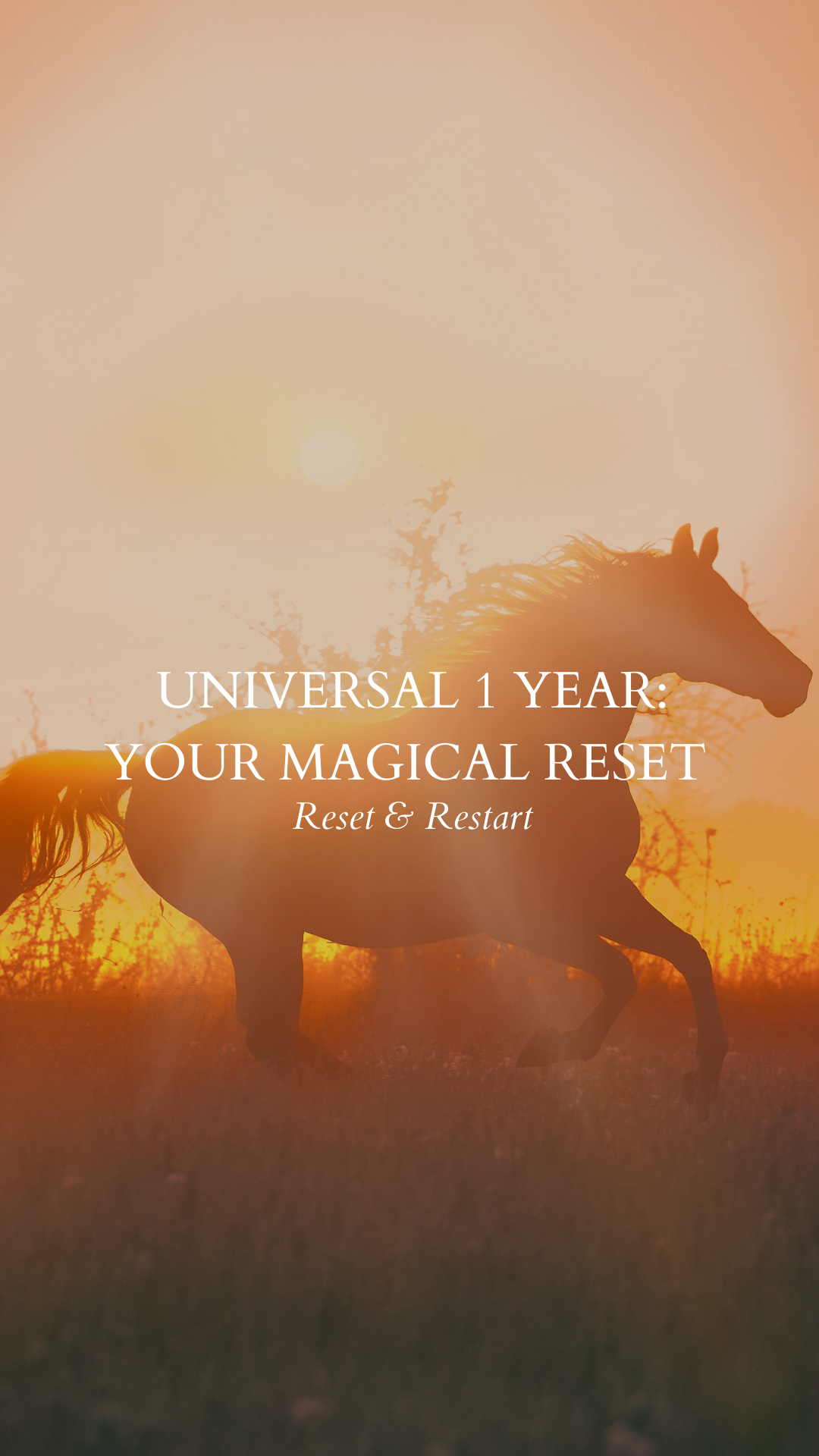 Universal 1 Year: Your Magical Reset