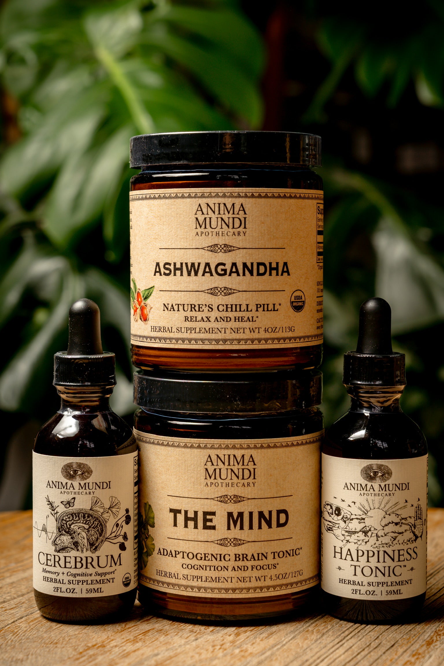 BRAIN KIT | Adaptogenic Nootropics*