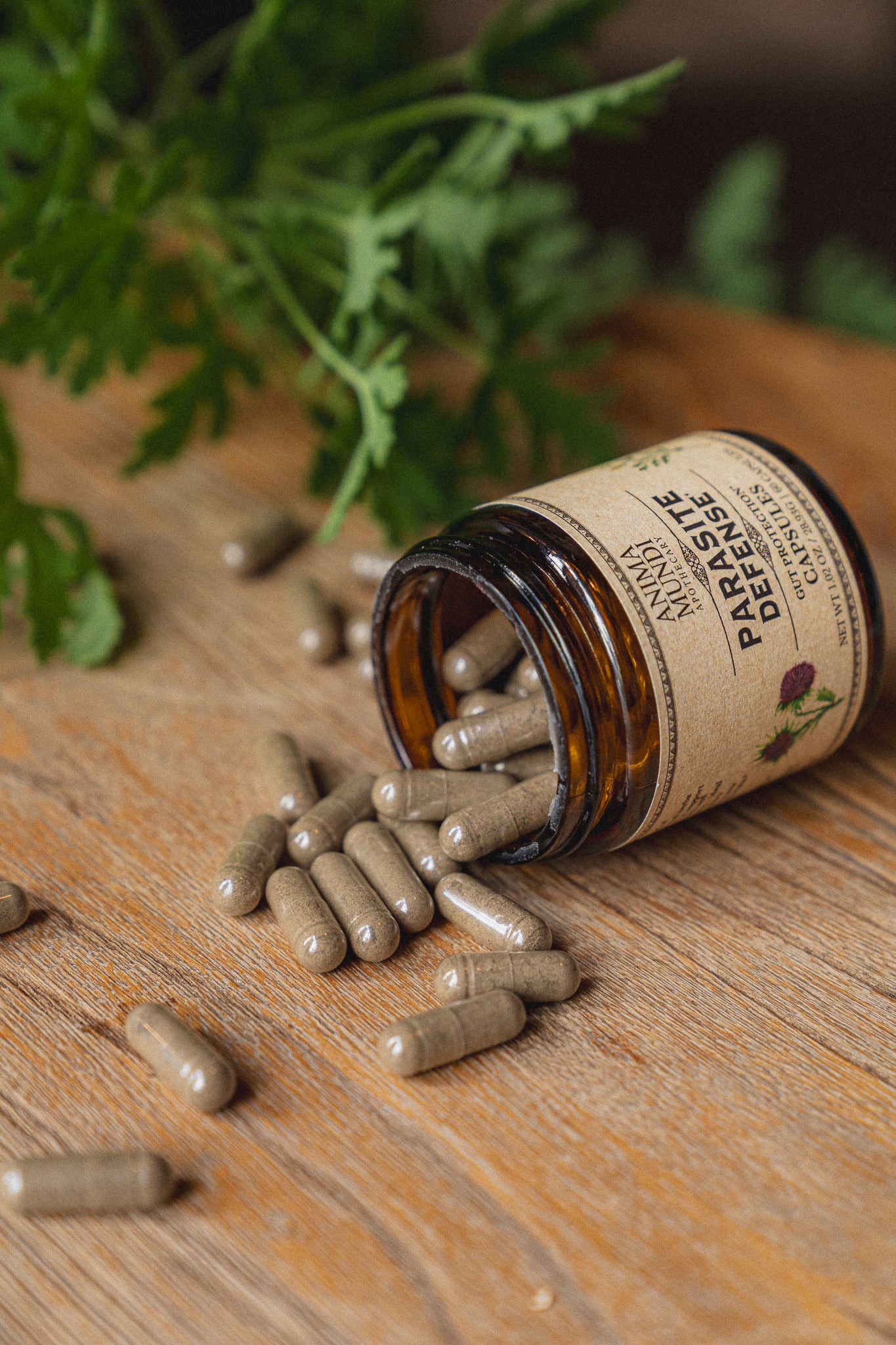 PARA-HERB DEFENSE Capsules | Protects + Supports Gut Health*