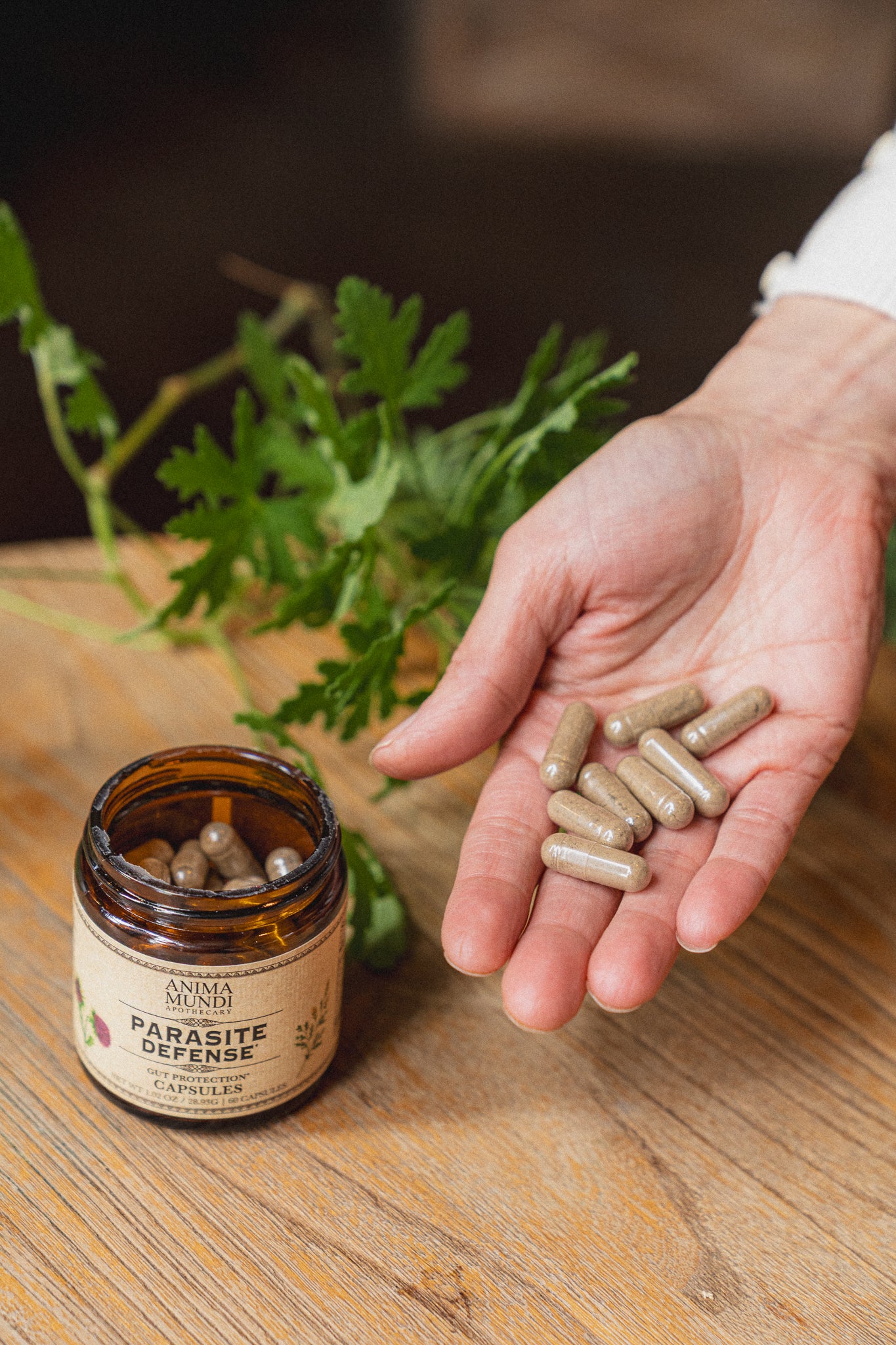 PARA-HERB DEFENSE Capsules | Protects + Supports Gut Health*