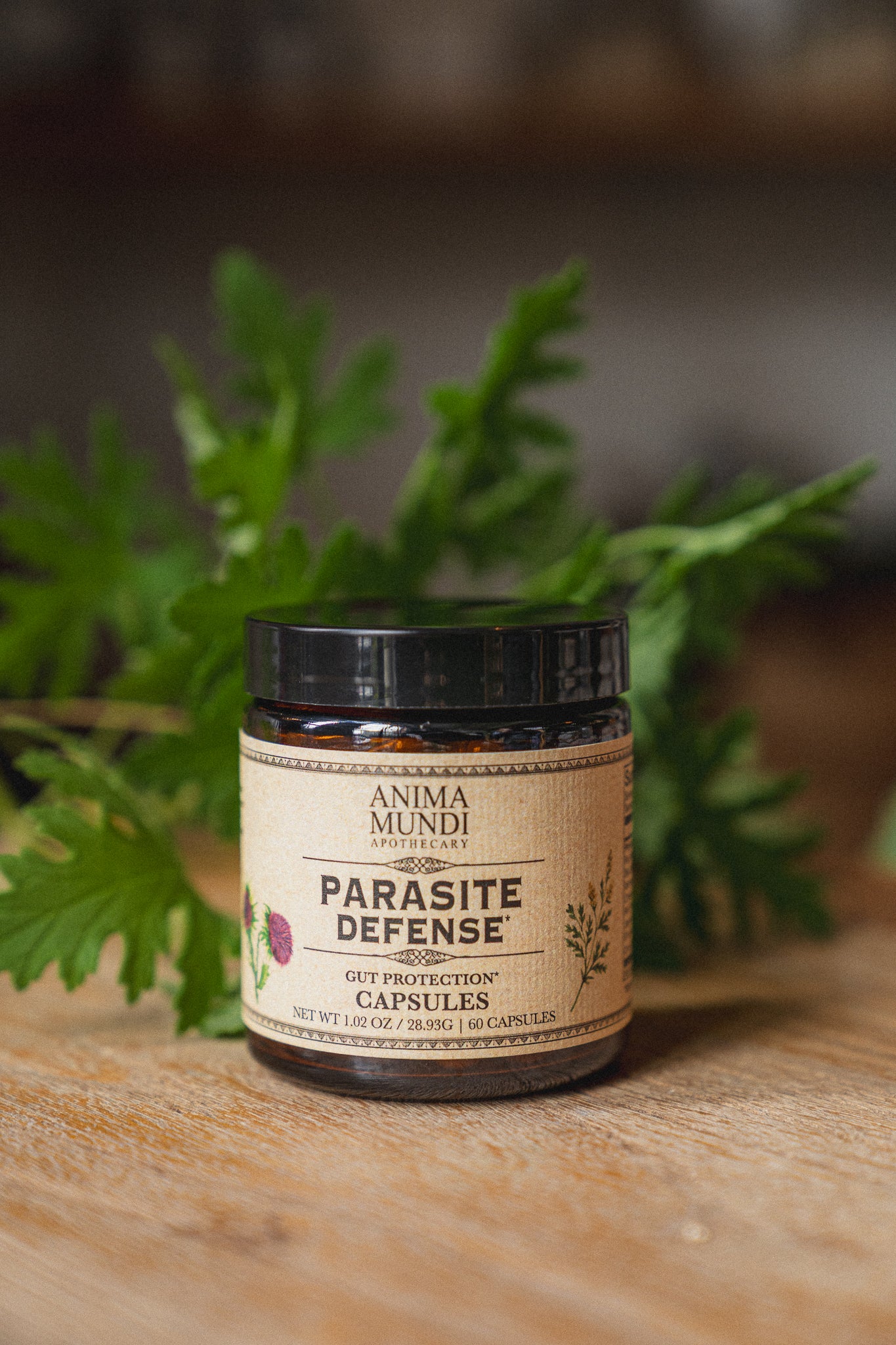 PARA-HERB DEFENSE Capsules | Protects + Supports Gut Health*