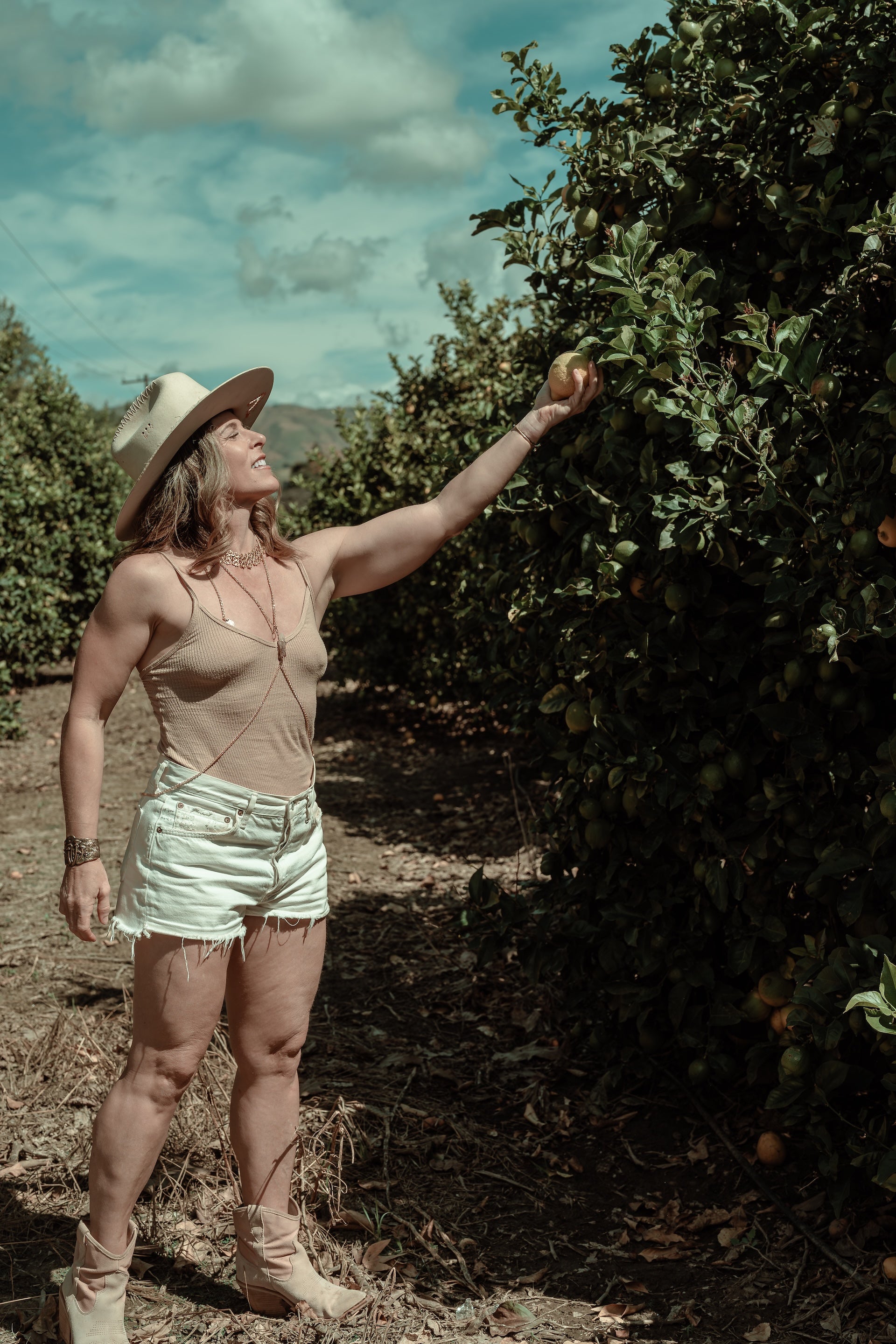 The Harvest: A Women&