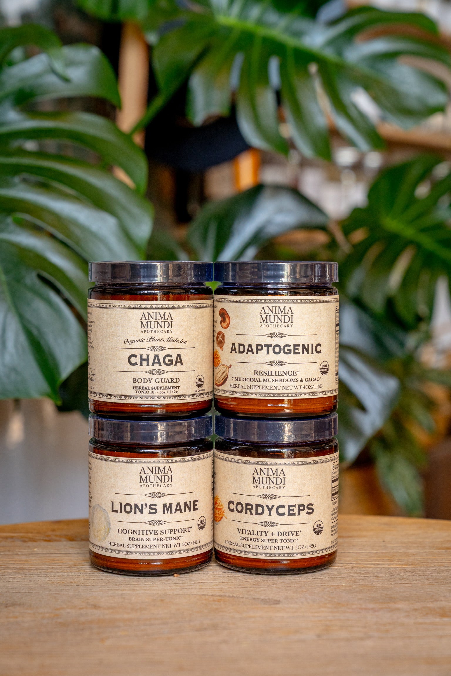 Adaptogenic Mushroom Set, Organic + Locally Grown | BUNDLE