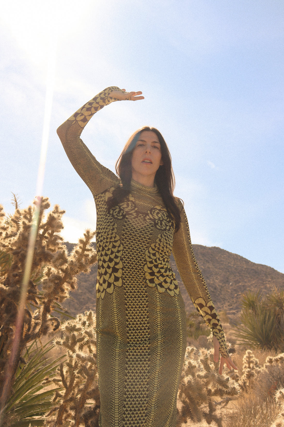 Somatic Energy Sessions with Farron