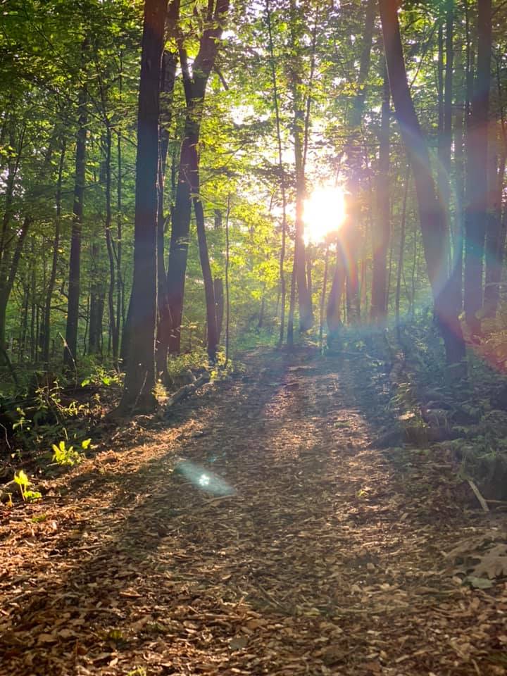 INNER ETHER Breathwork Journey
