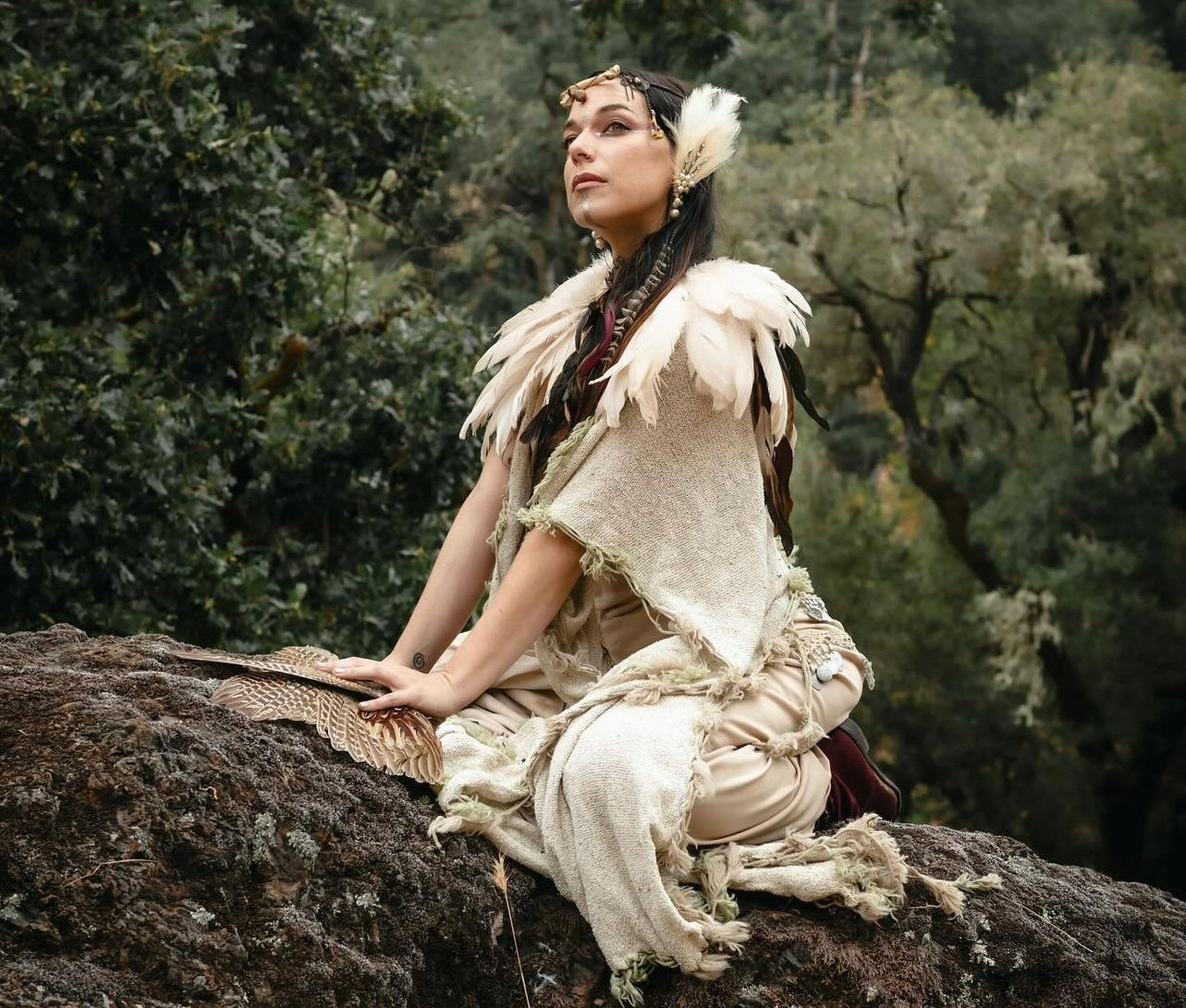 The Sacred Path of Dreaming