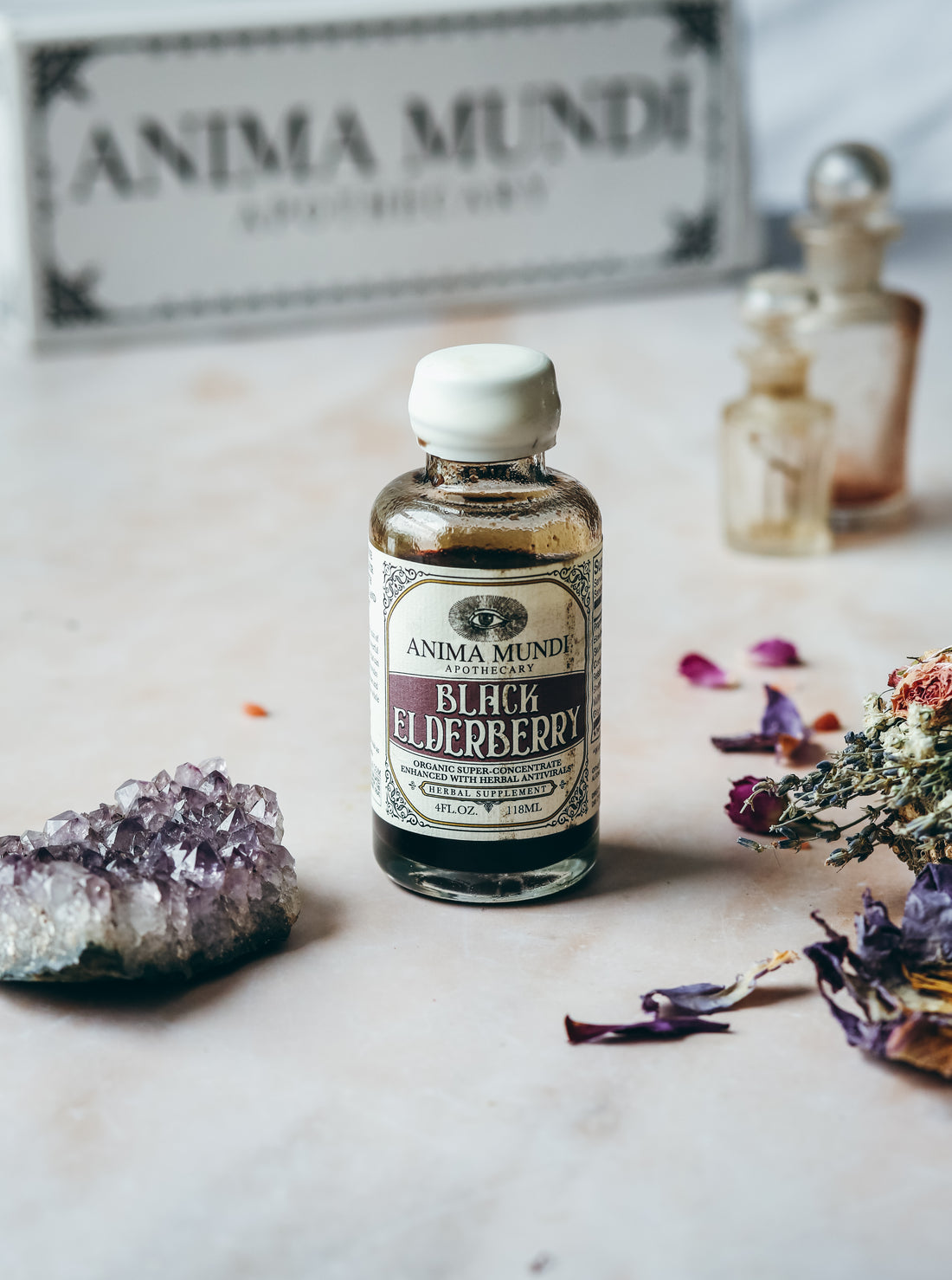 BLACK ELDERBERRY Elixir | Botanical Mushroom Syrup