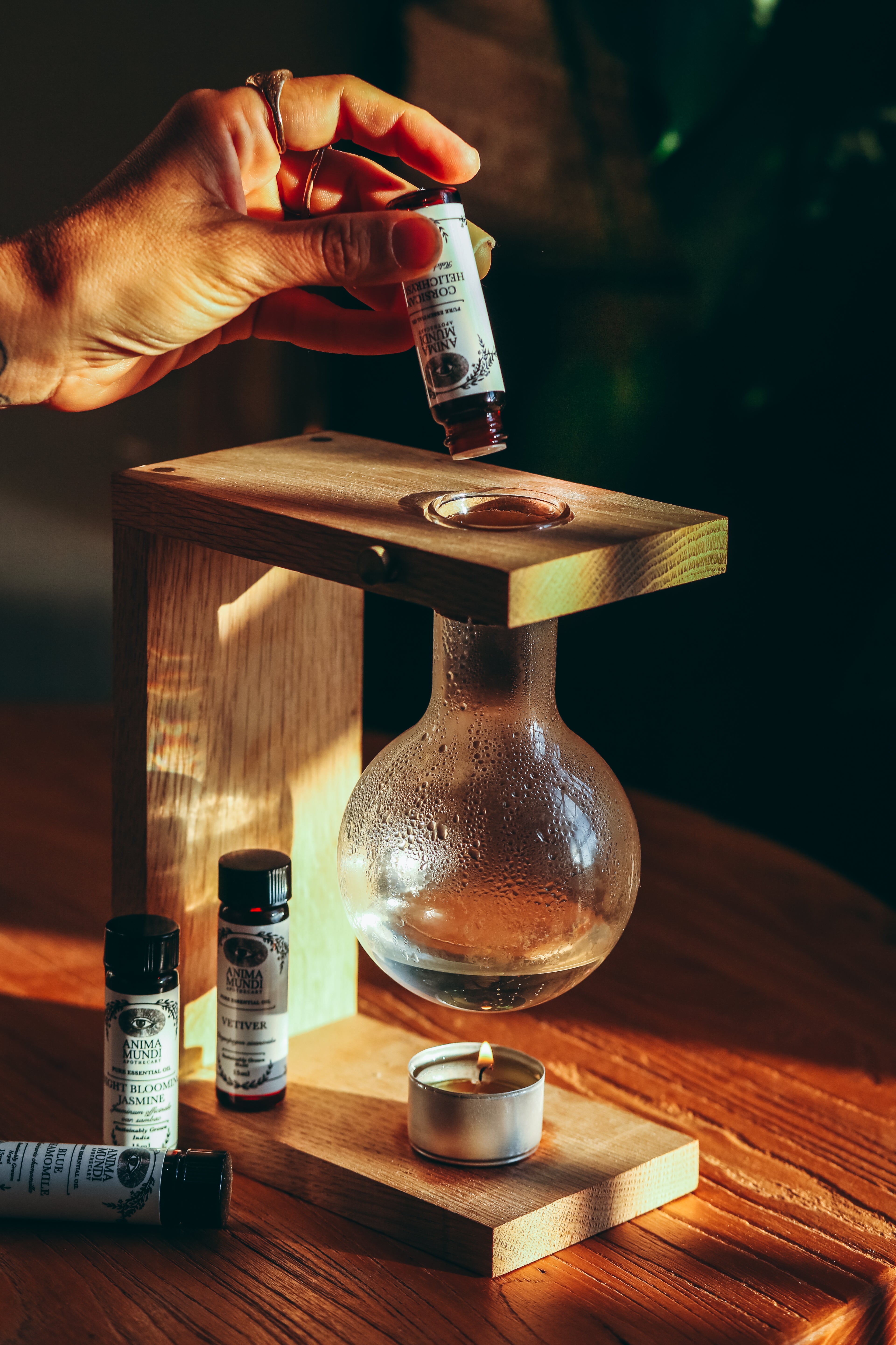 HELICHRYSUM Essential Oil | Sustainably Cultivated, Corsican