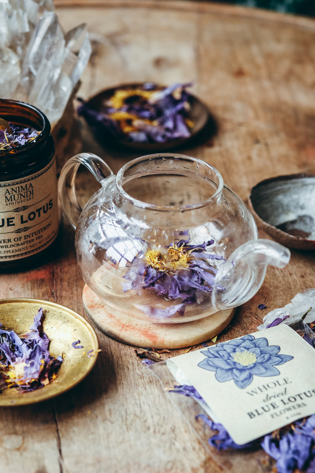 WHOLE BLUE FLOWERS | Blossoms of Intuition*