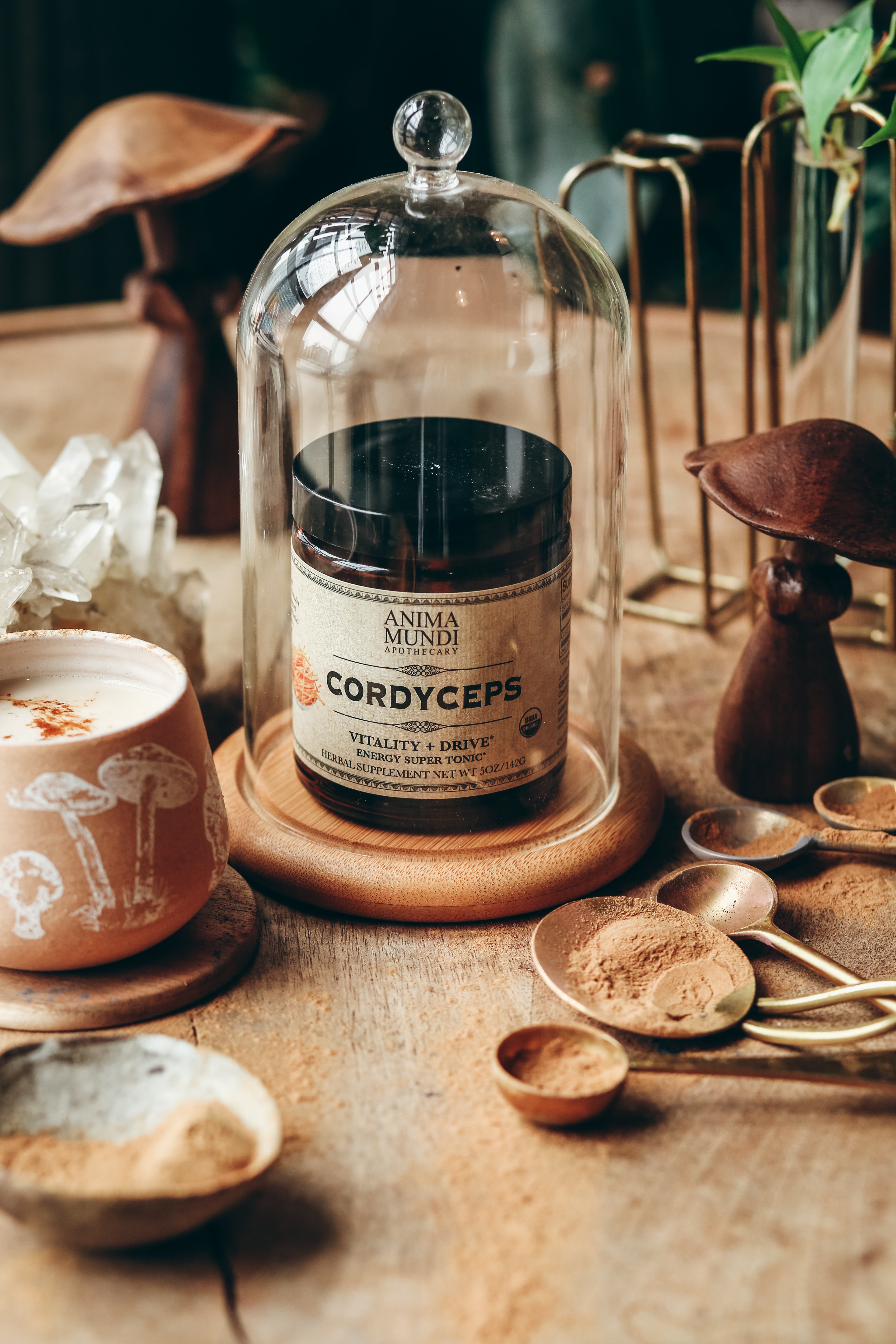 CORDYCEPS | Organic Mushroom Powder, Energy Super Tonic*