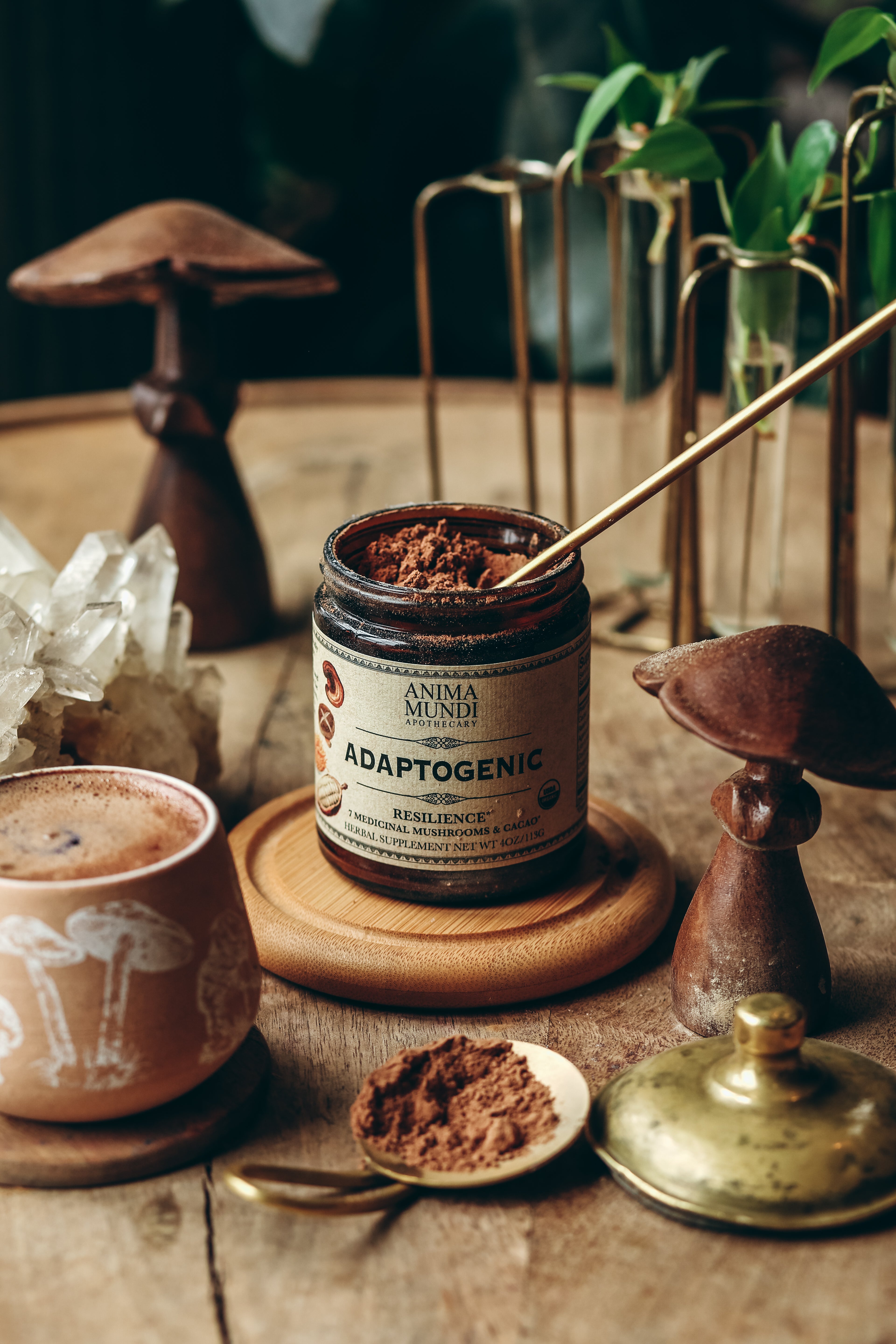 ADAPTOGENIC Powder | Organic, 7 Medicinal Mushrooms + Cacao