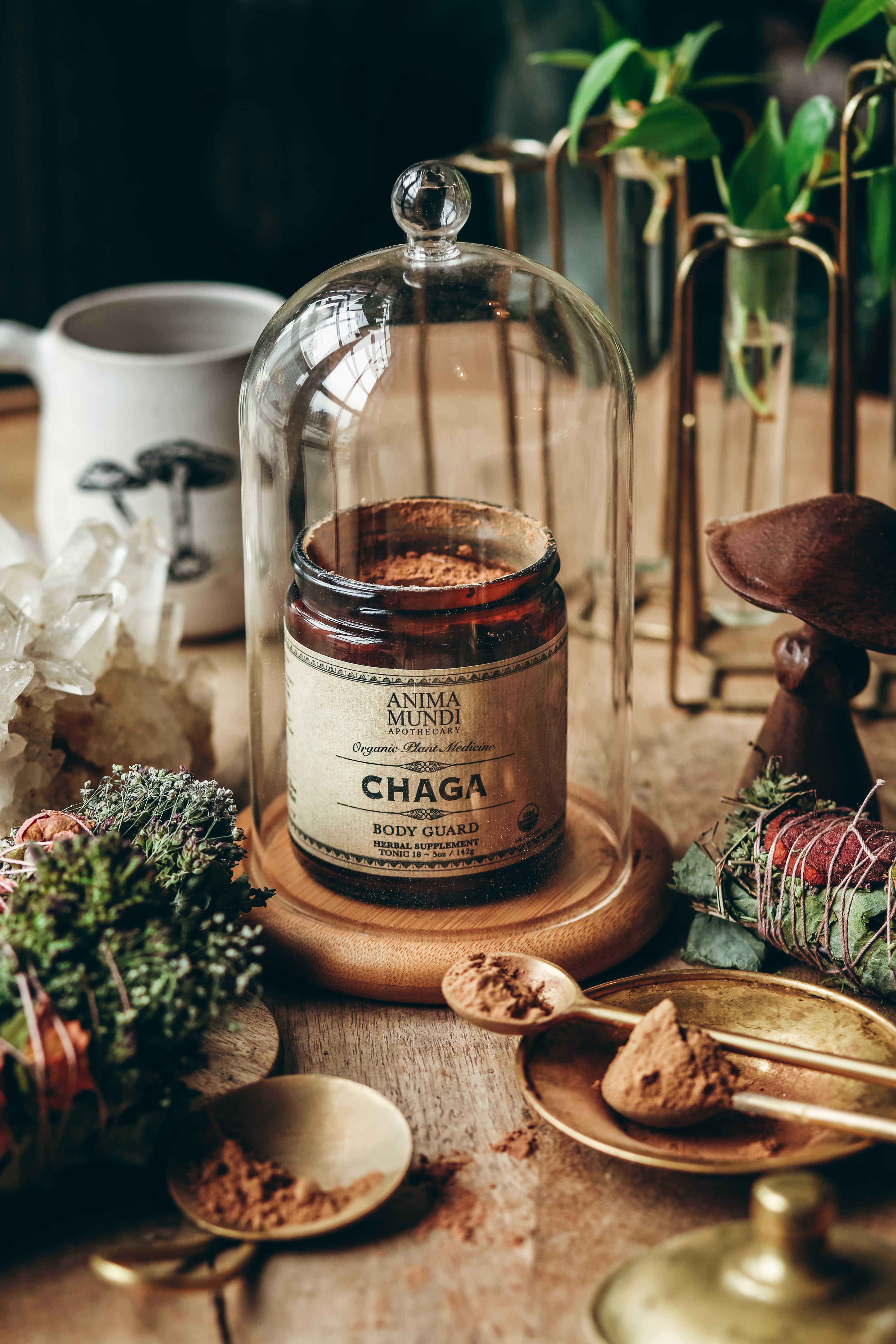 CHAGA | Organic Mushroom Powder, Body Guard*