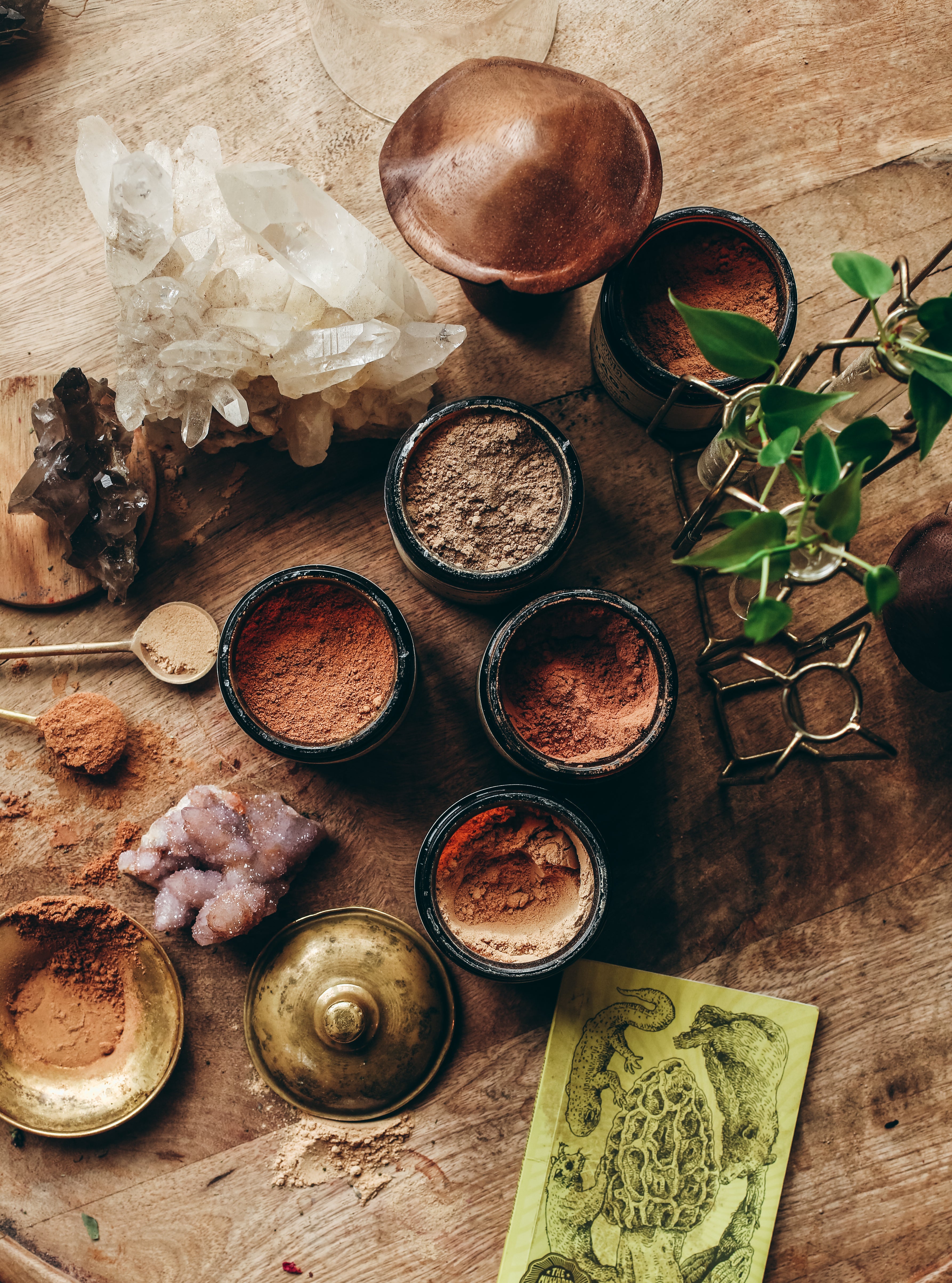 CHAGA | Organic Mushroom Powder, Body Guard*