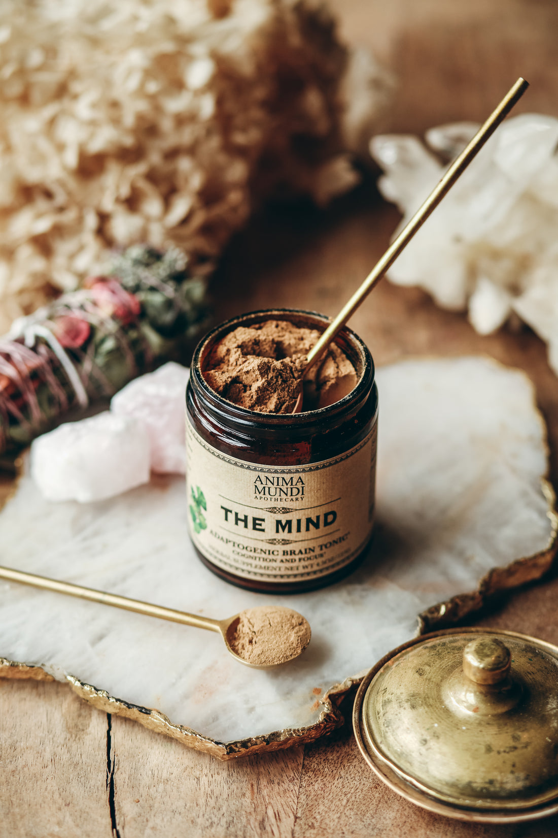 THE MIND | Cognition + Focus*