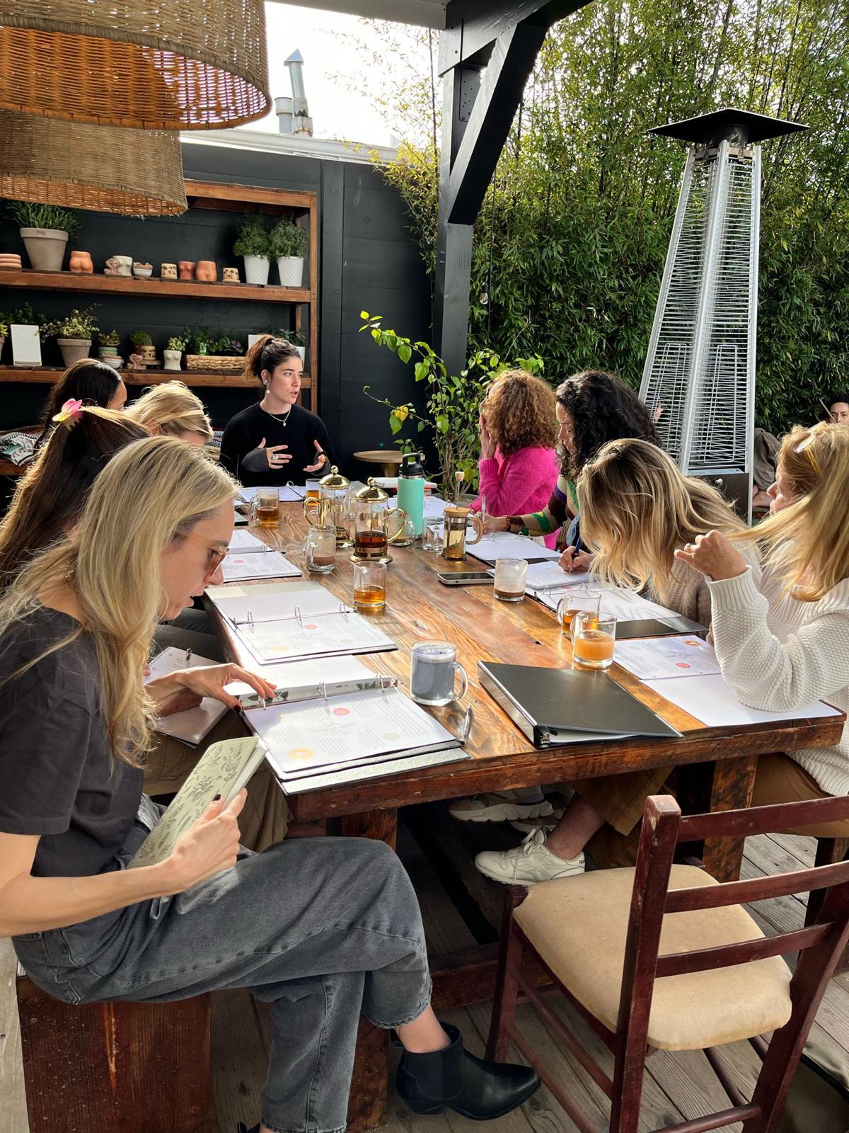 8-Week Holistic Herbalism Course (Fall 2025)