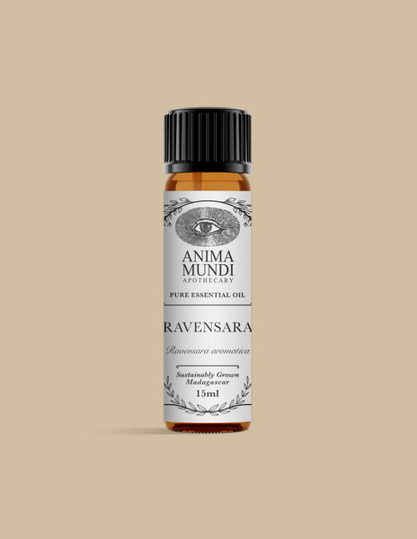 RAVENSARA Essential Oil | Sustainably Cultivated