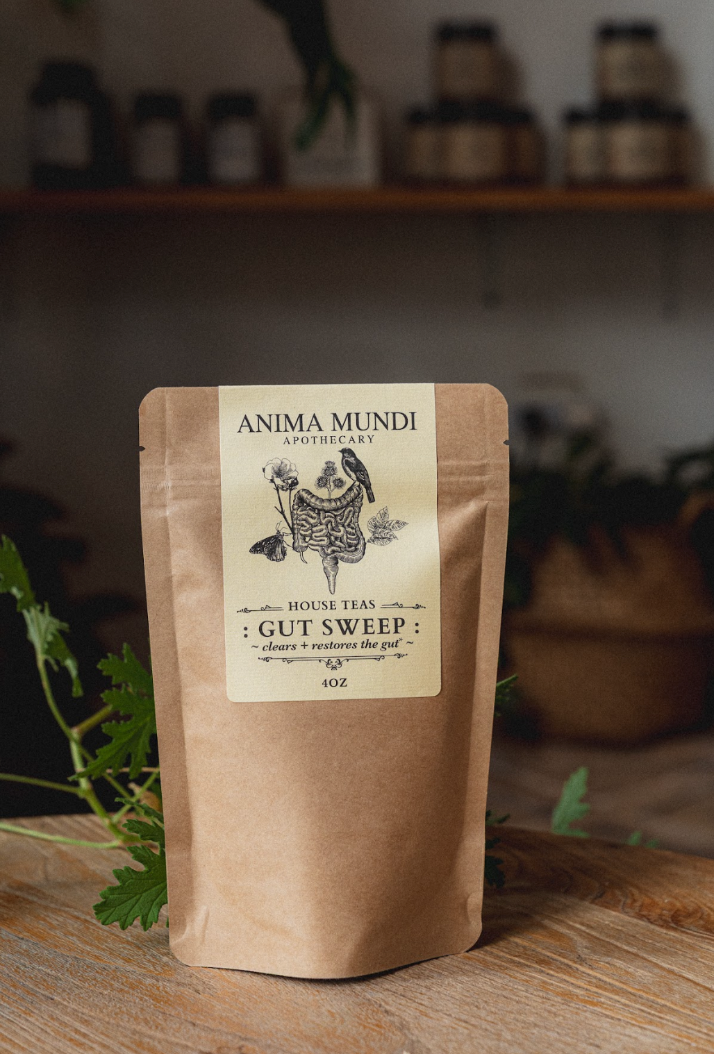 PARASITE DEFENSE HERBAL KIT | Deep Cleanse*