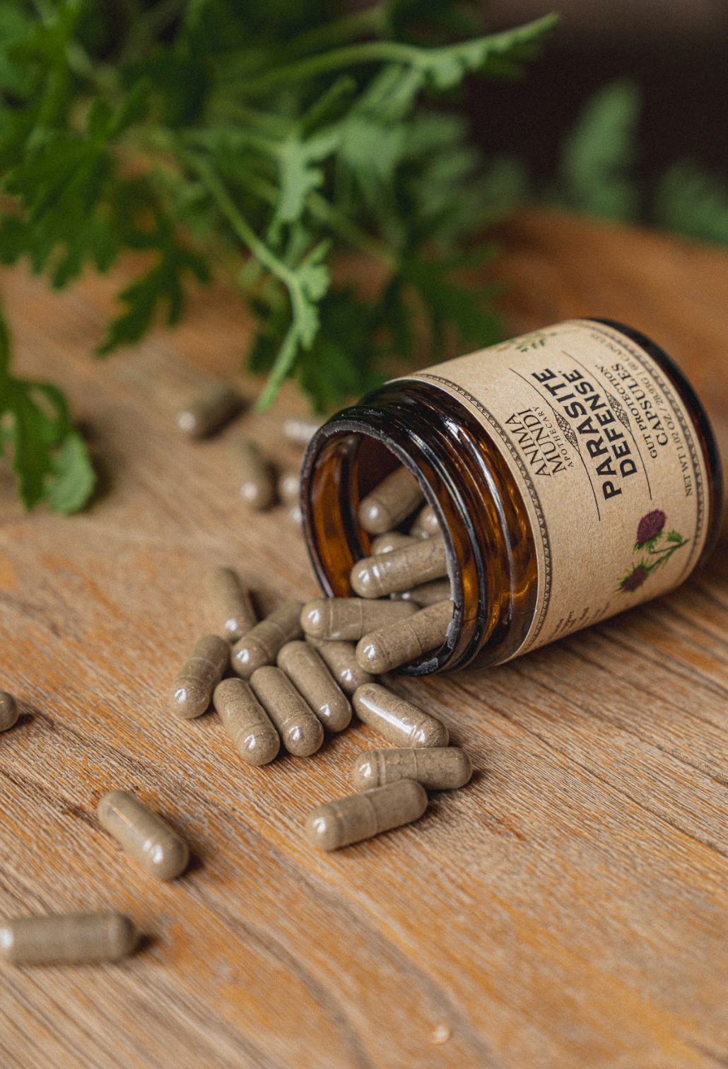 PARASITE DEFENSE HERBAL KIT | Deep Cleanse*