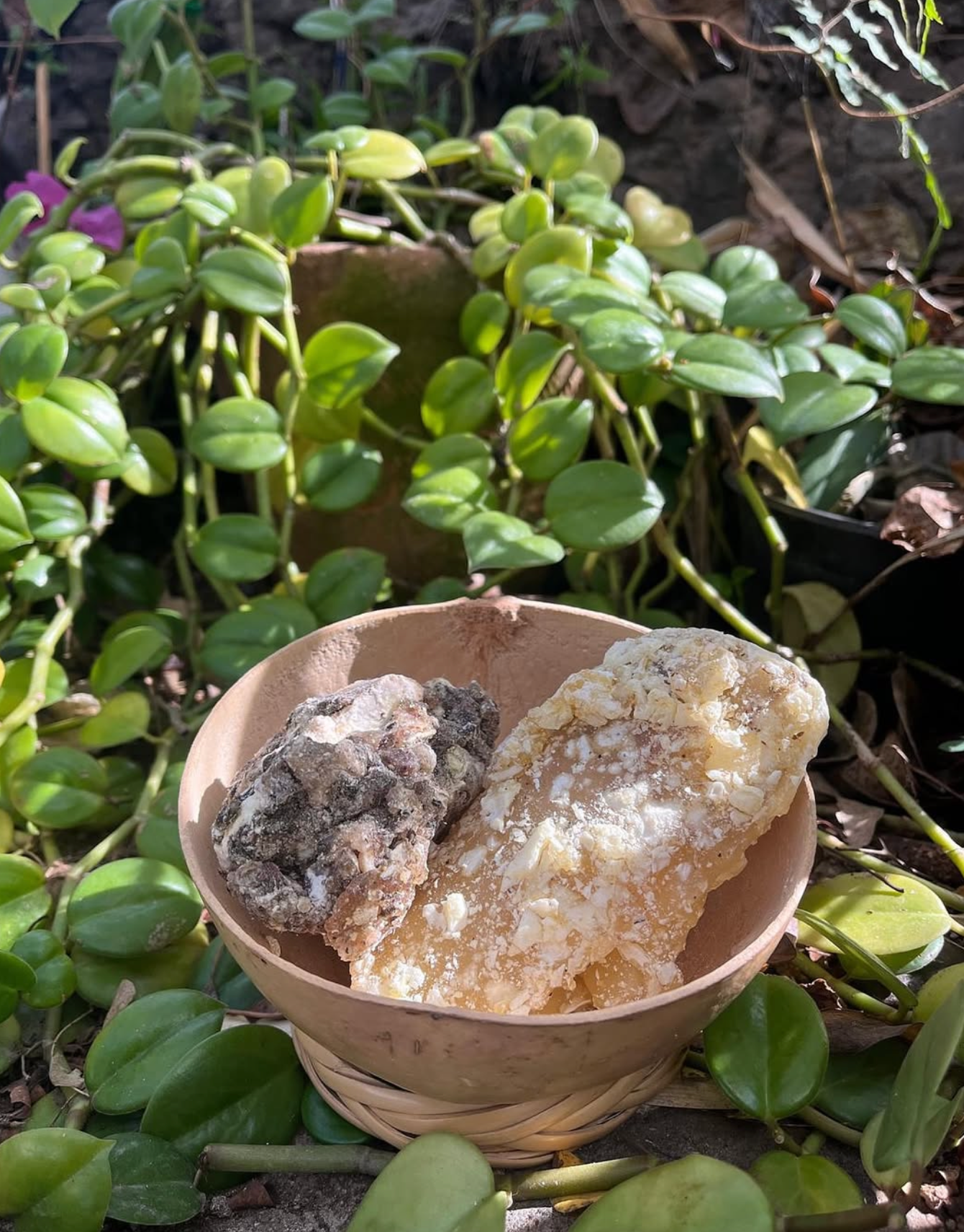 COPAL BLANCO | Handcrafted Natural Resin