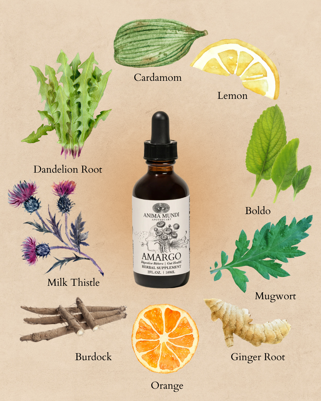 AMARGO Digestive Bitters | Gut Support*
