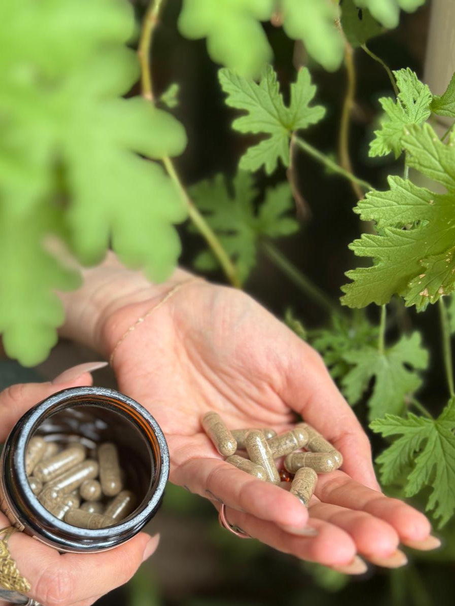 PARA-HERB DEFENSE Capsules | Protects + Supports Gut Health*