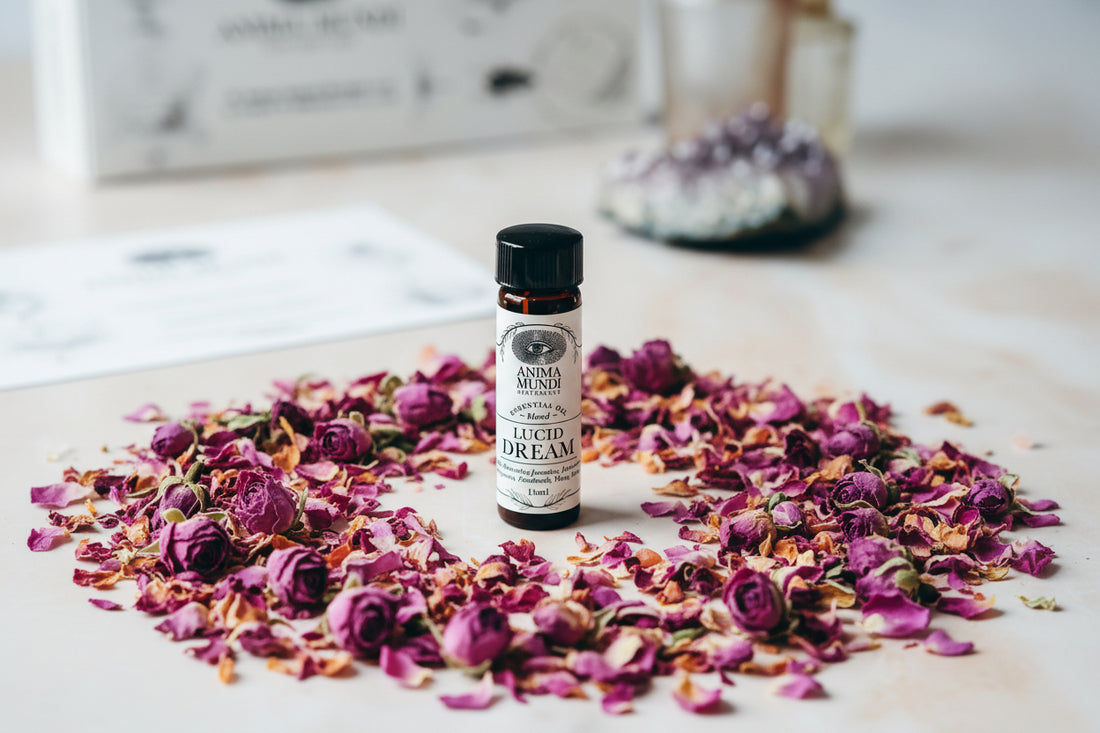 LUCID DREAM Essential Oil Blend