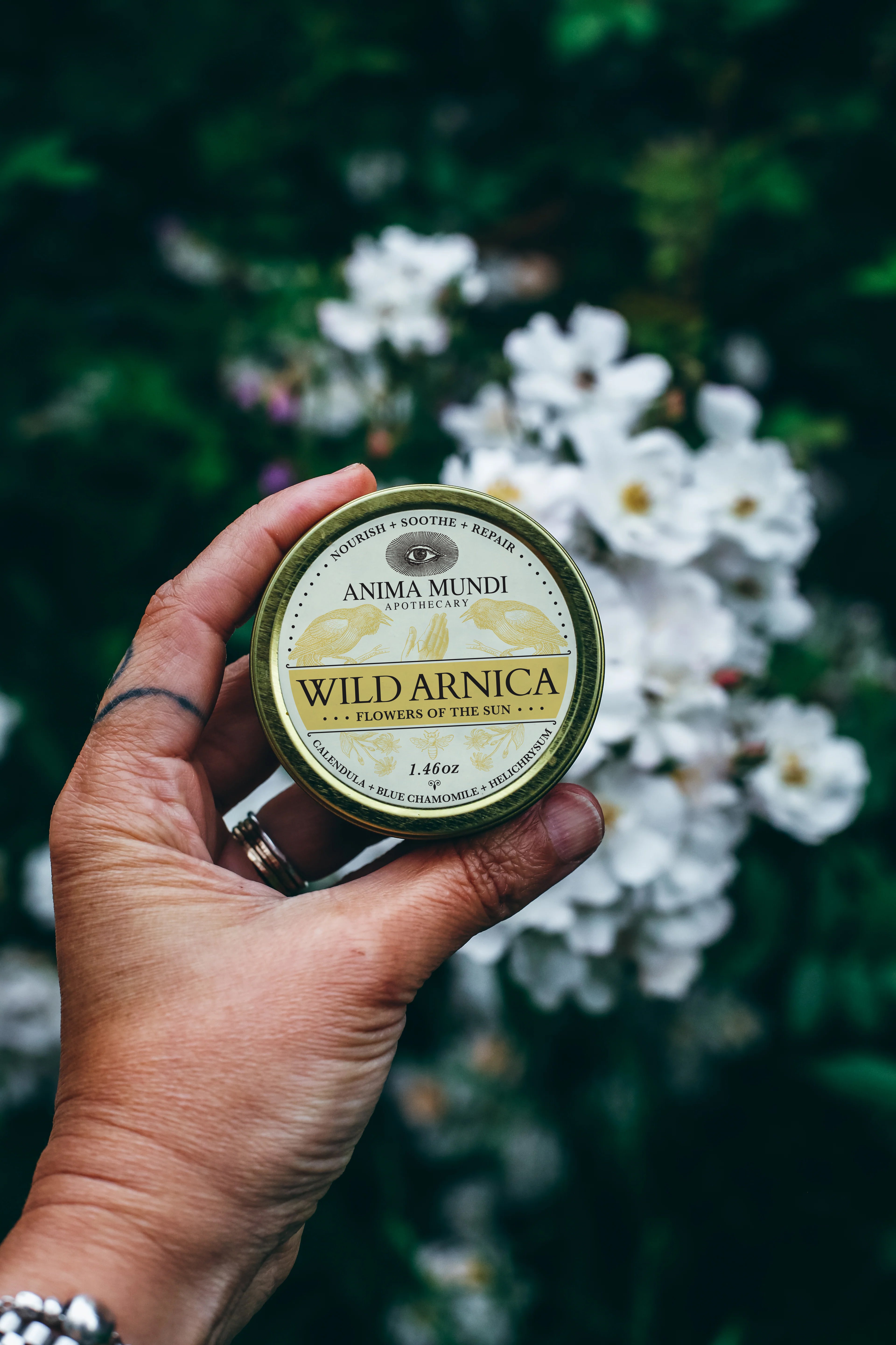 WILD ARNICA BALM | Flowers of the Sun