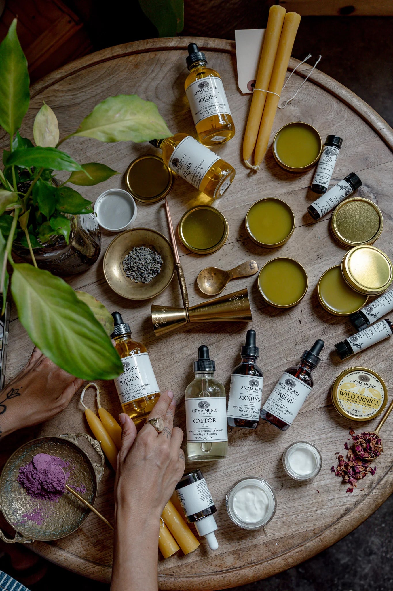 WILD ARNICA BALM | Flowers of the Sun