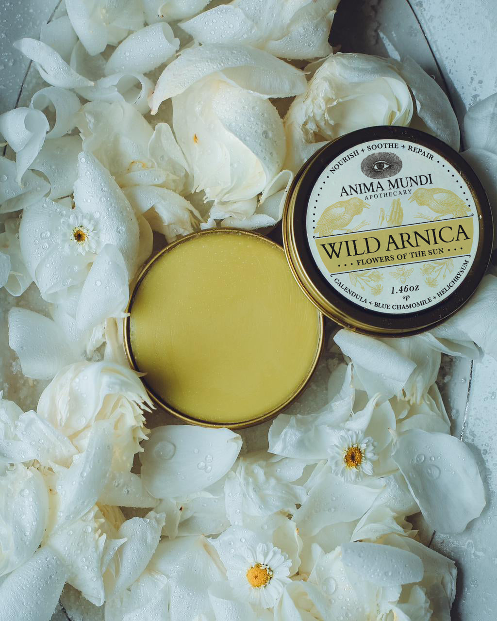 WILD ARNICA BALM | Flowers of the Sun