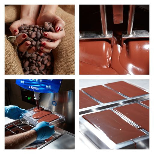 Moksha Functional Mushroom Chocolate and Cacao Tasting