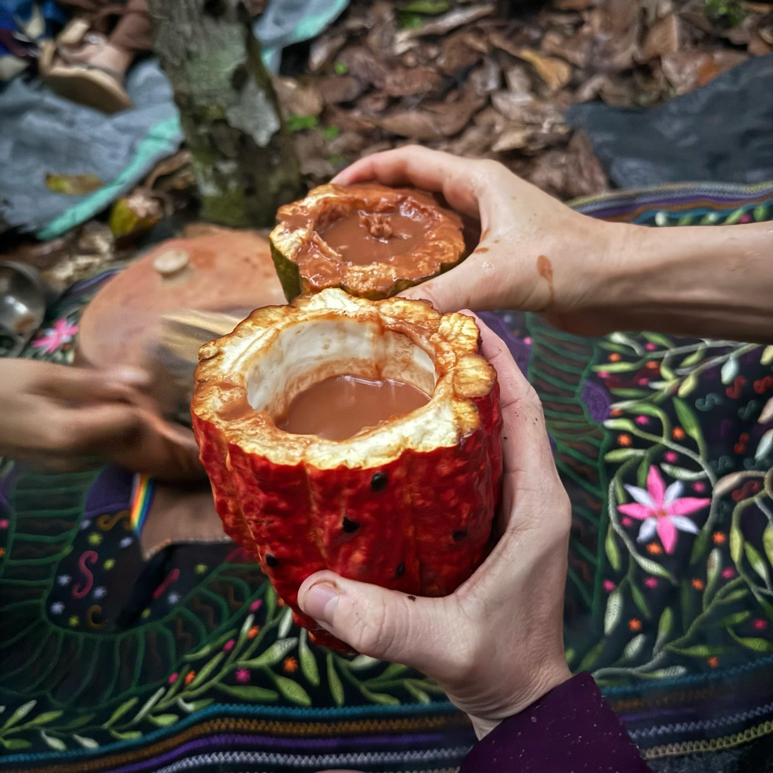 Ceremonial Cacao & Breathwork Immersion