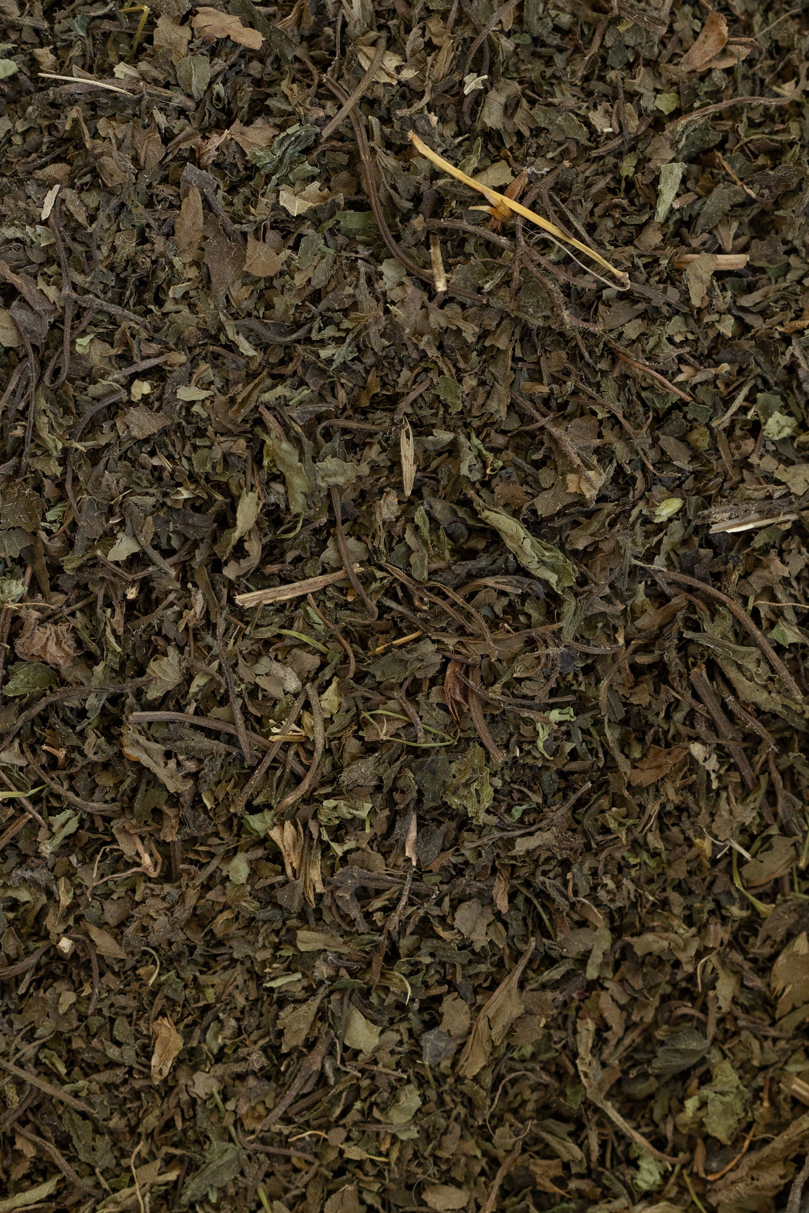 Lemon Balm, Organic