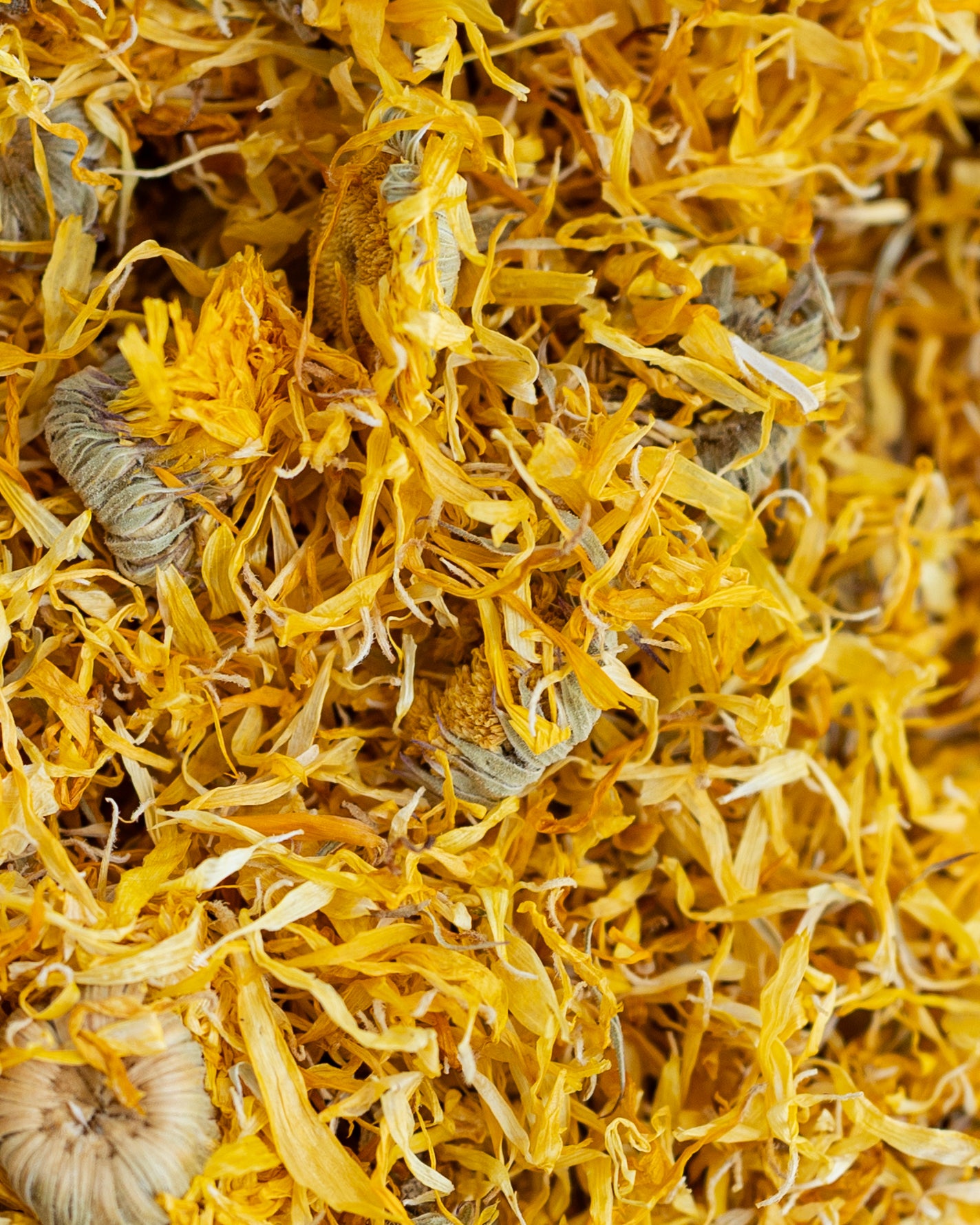 Calendula Whole Flowers, Organic 4 oz BULK BAG