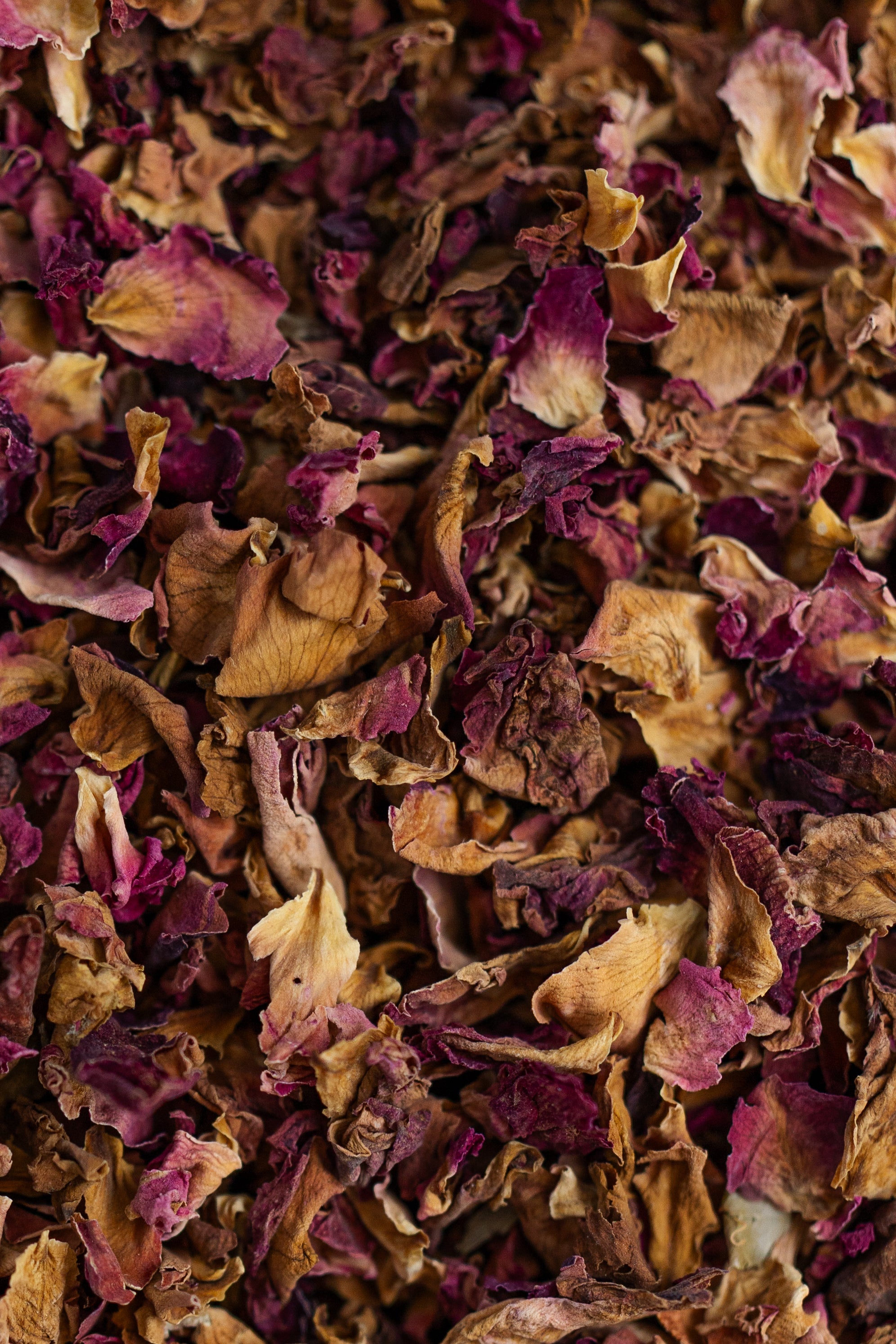 Rose Petals