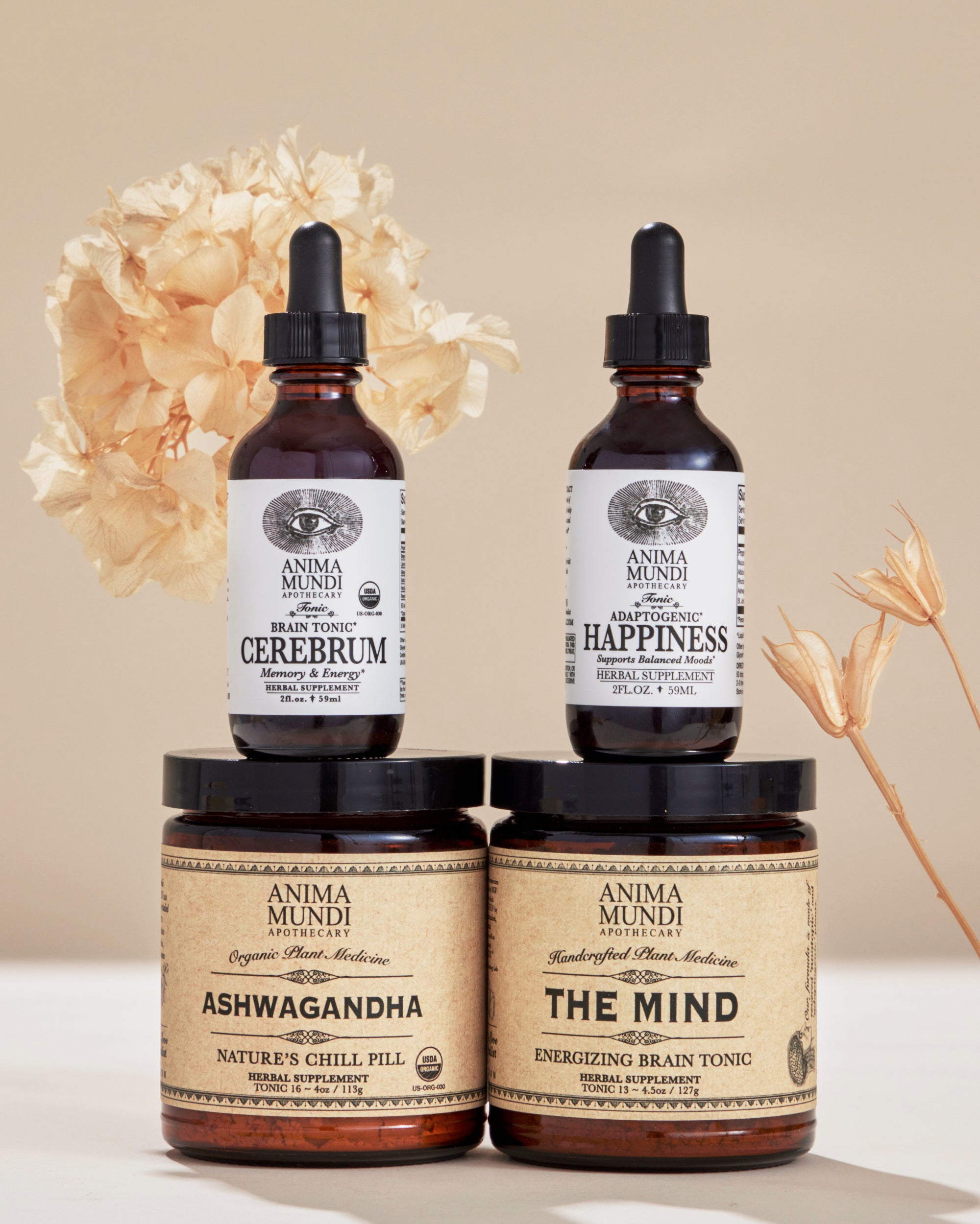 BRAIN KIT | Adaptogenic Nootropics*