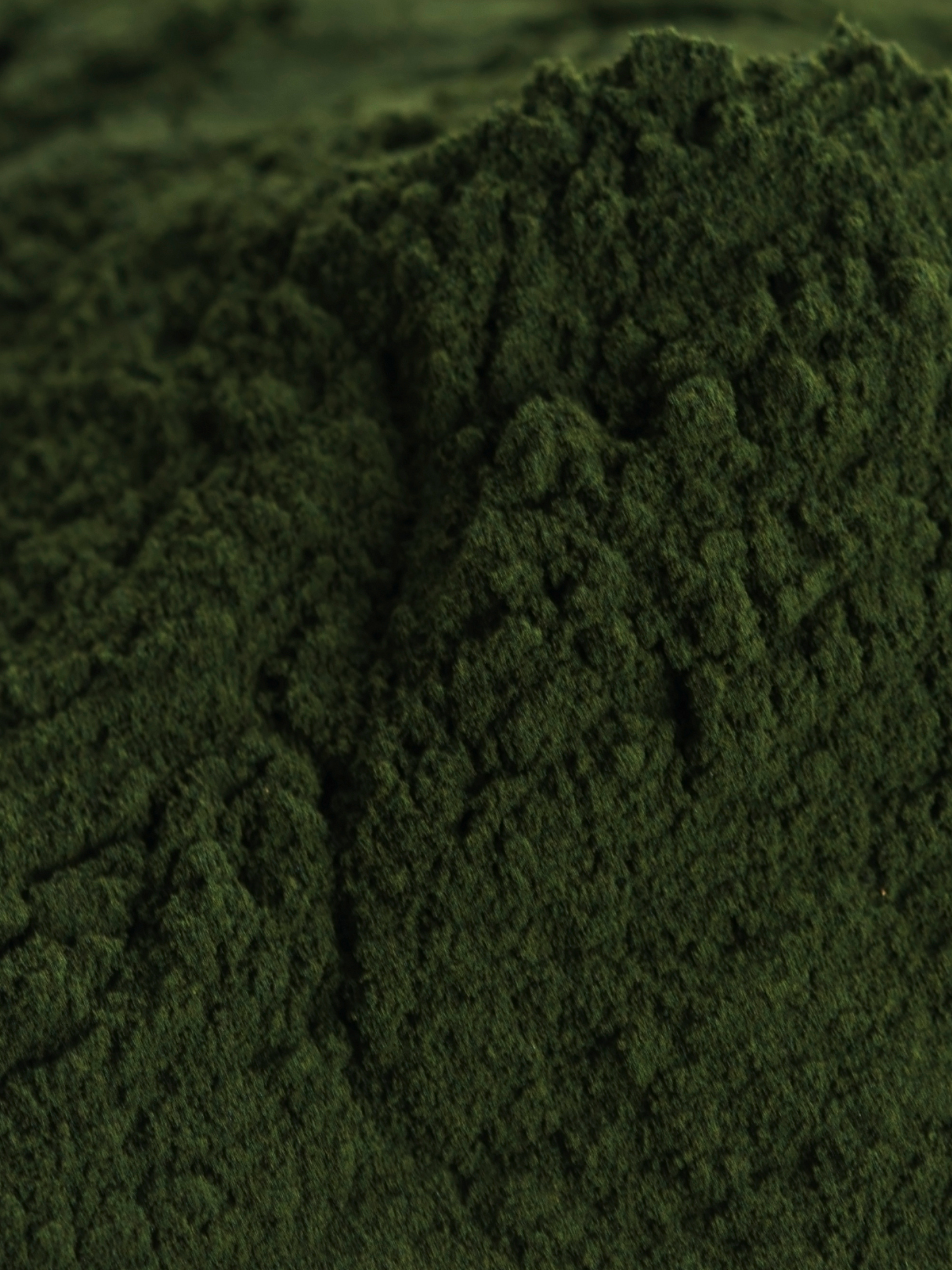 Chlorella, Organic 4 oz BULK BAG