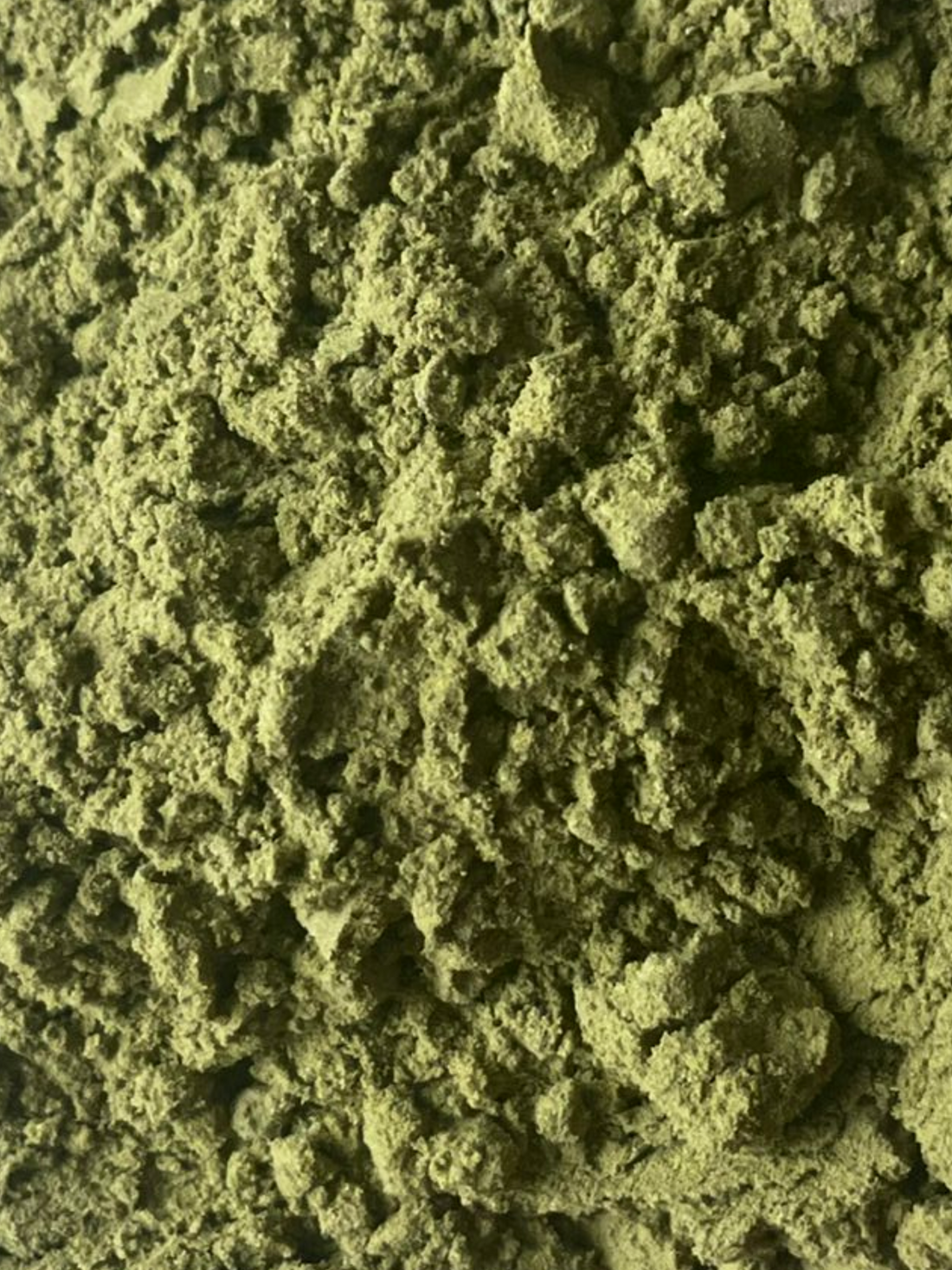 Ginkgo Leaf Powder 4 oz BULK BAG