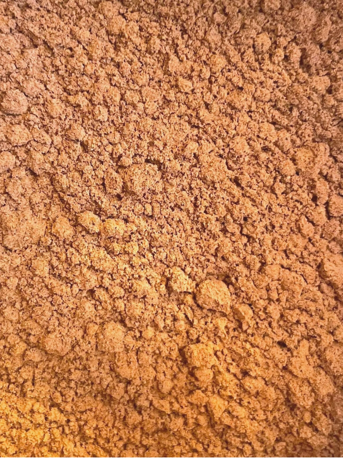 Guaraná Seed Powder 4 oz BULK BAG