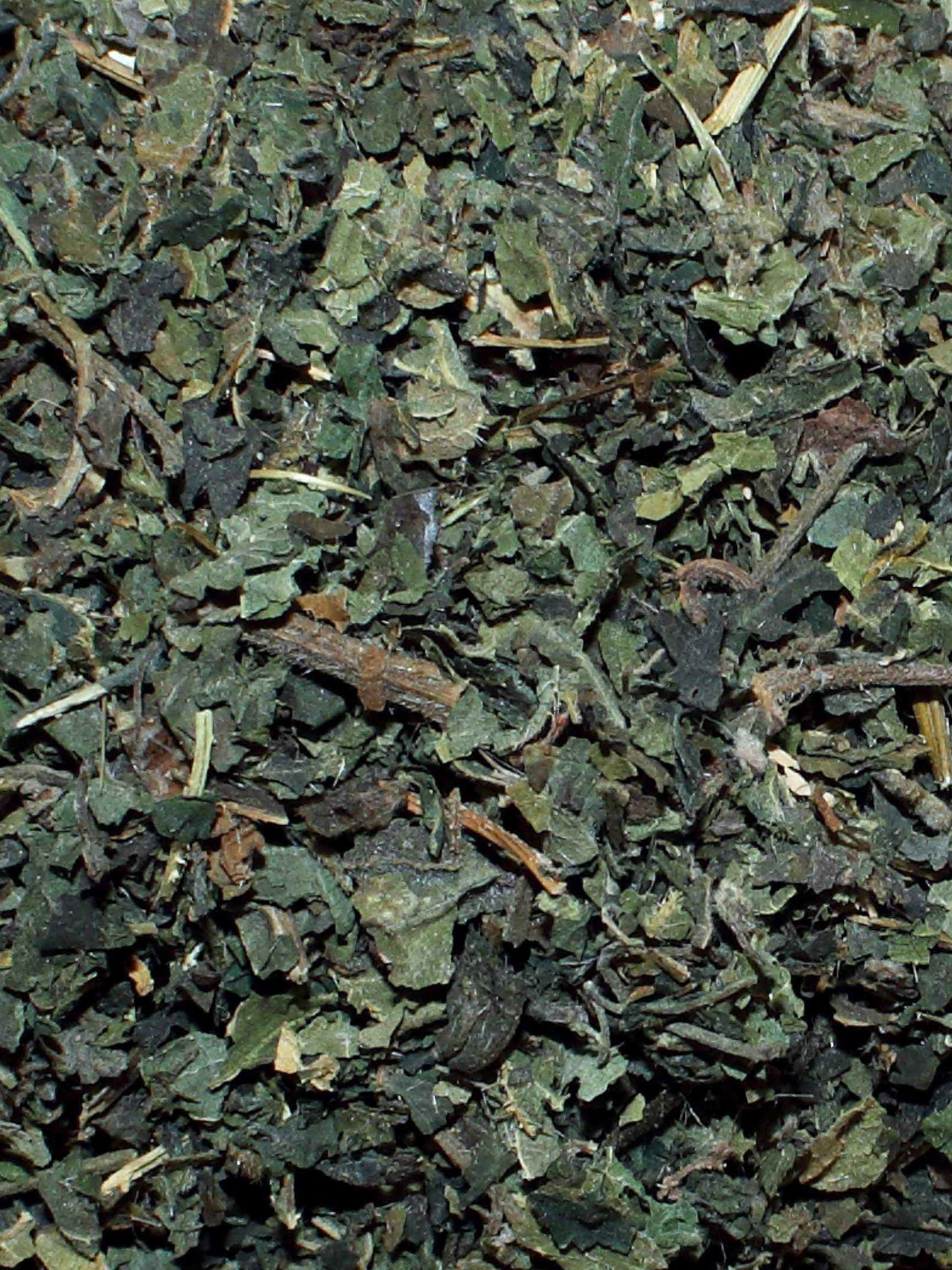 Nettle Leaf, Organic