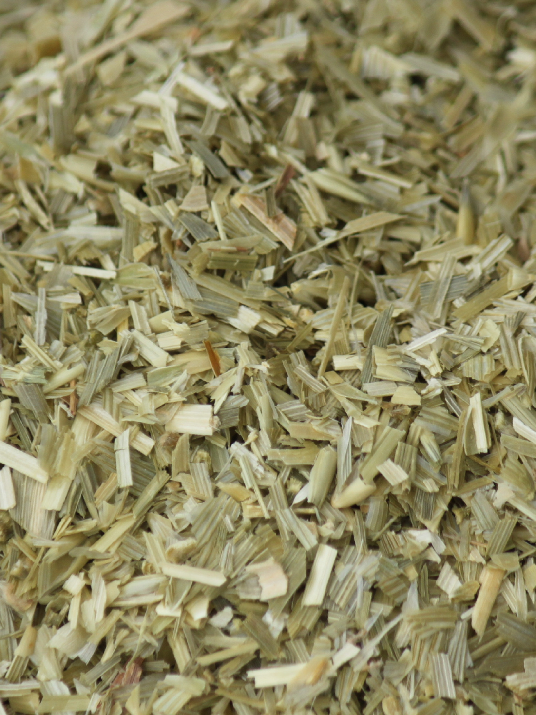 Oat Straw, Organic 4 oz BULK BAG