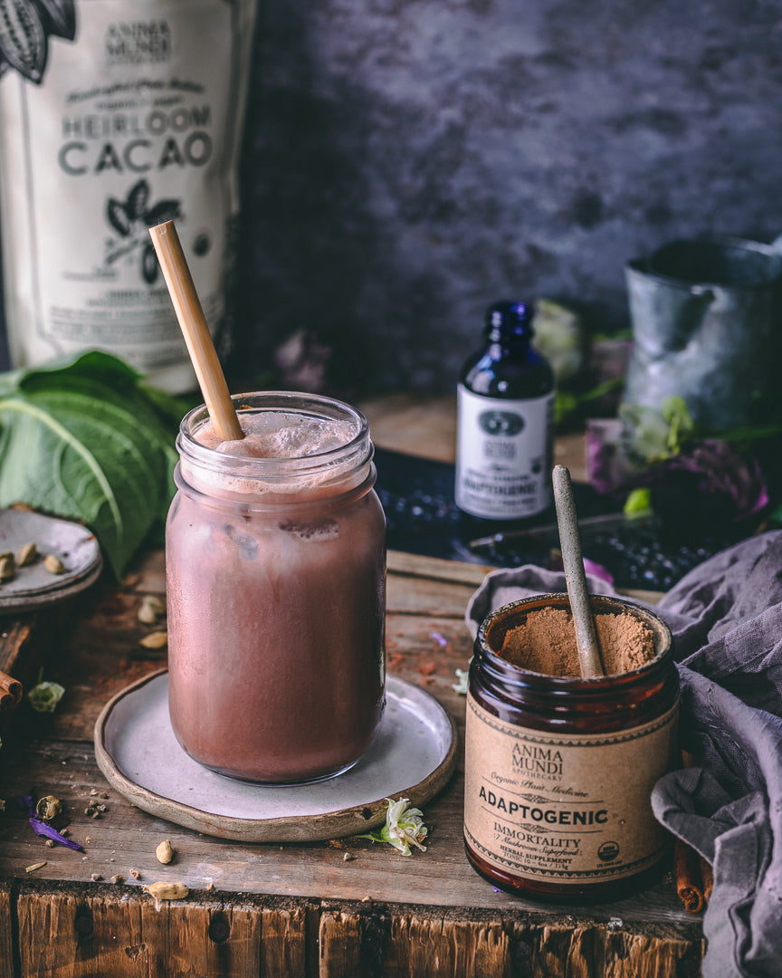 ADAPTOGENIC Powder | Organic, 7 Medicinal Mushrooms + Cacao