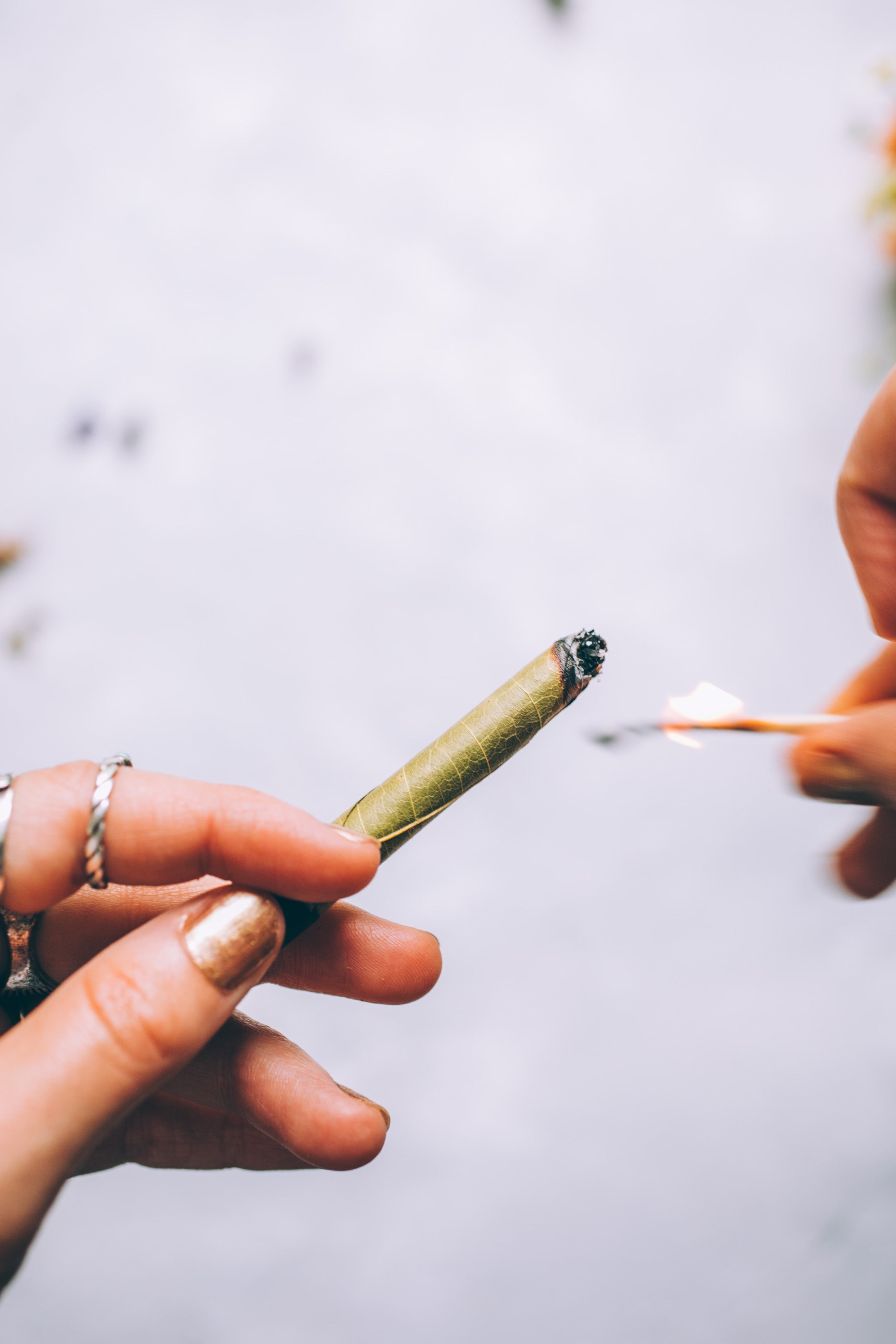 SACRED SMOKE | Org Heart Chakra Blend