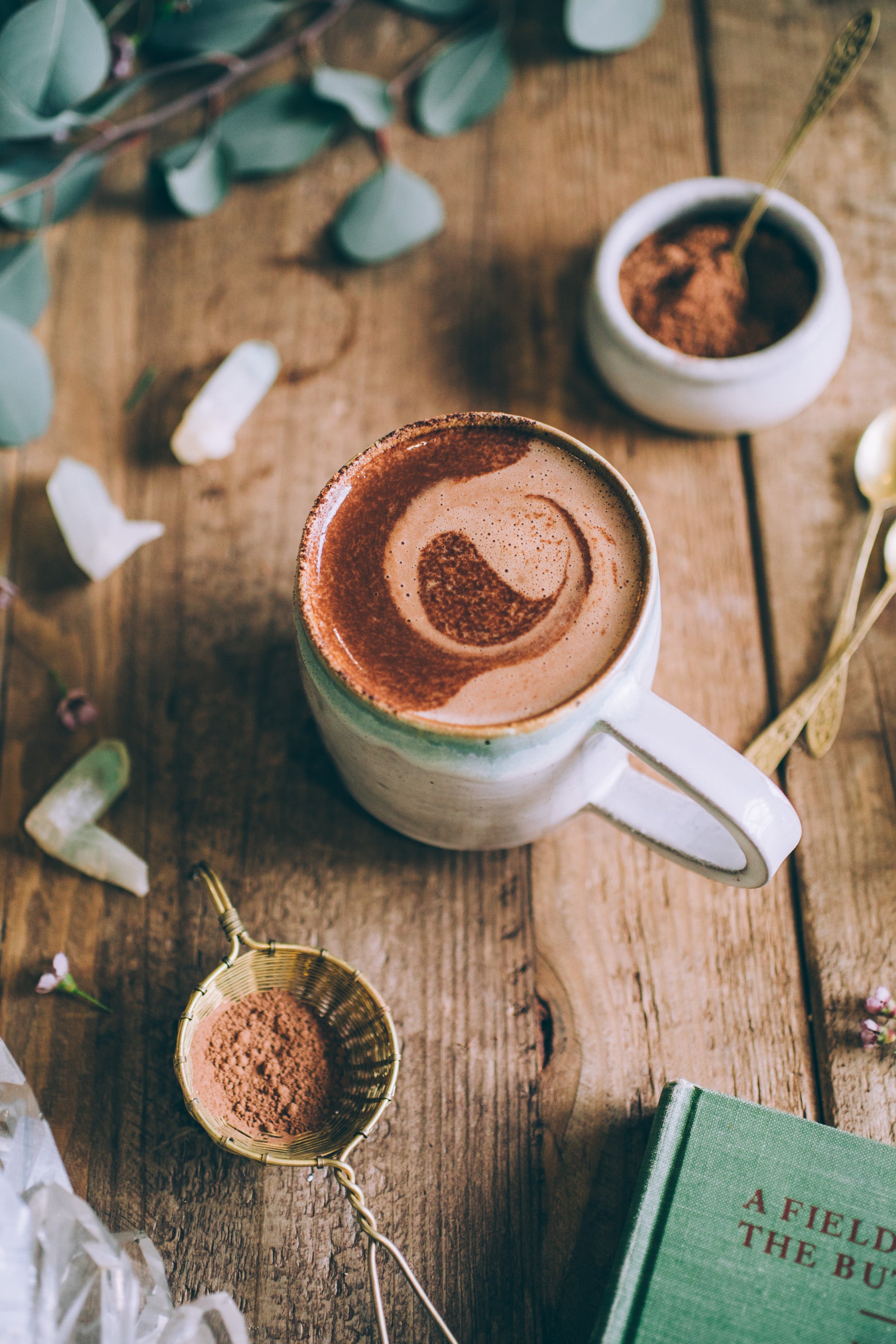 MUSHROOM MOCHA MILK | Adaptogenic Creamer*