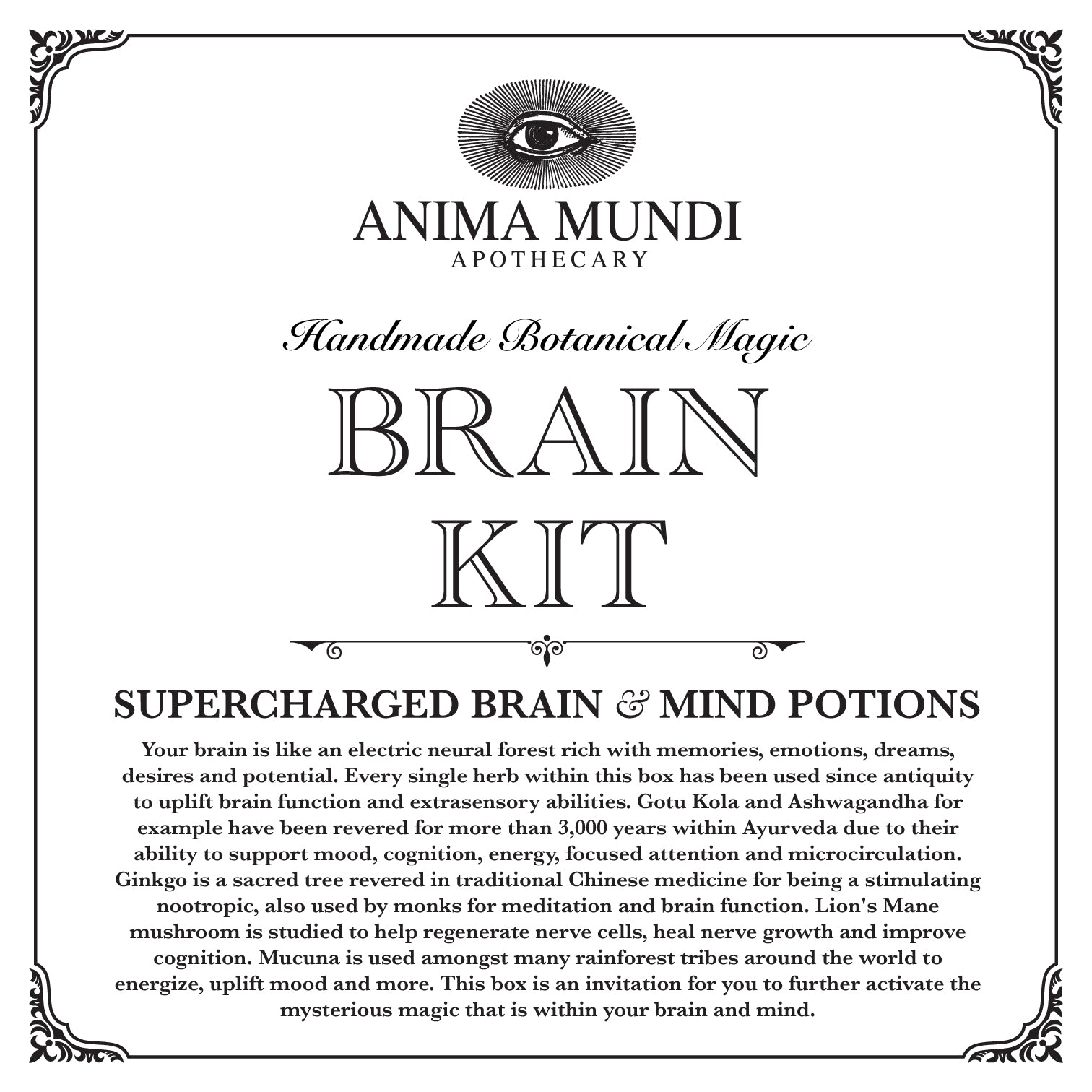 BRAIN KIT | Adaptogenic Nootropics*