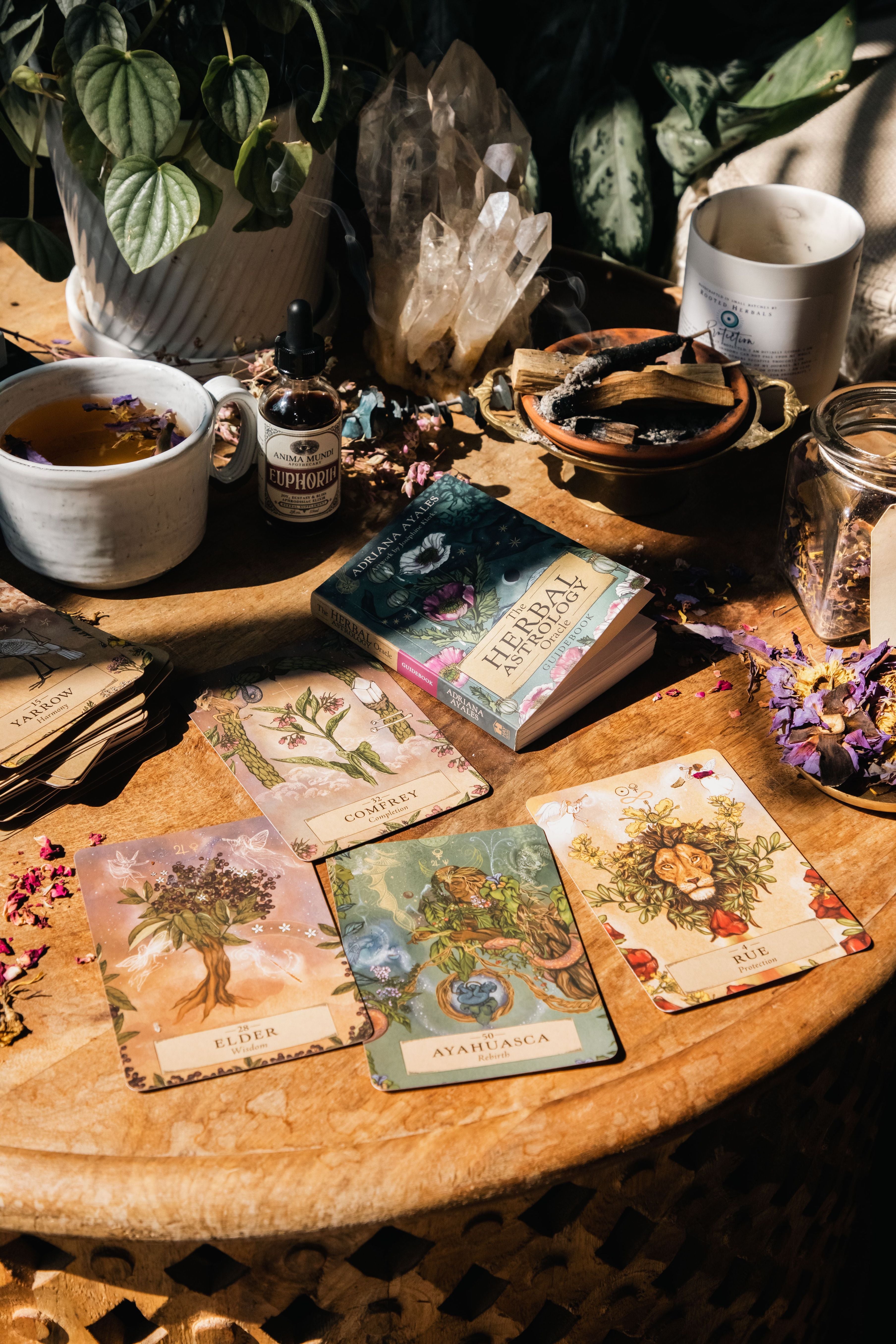 HERBAL ASTROLOGY Oracle | 55-Card Deck + Guidebook