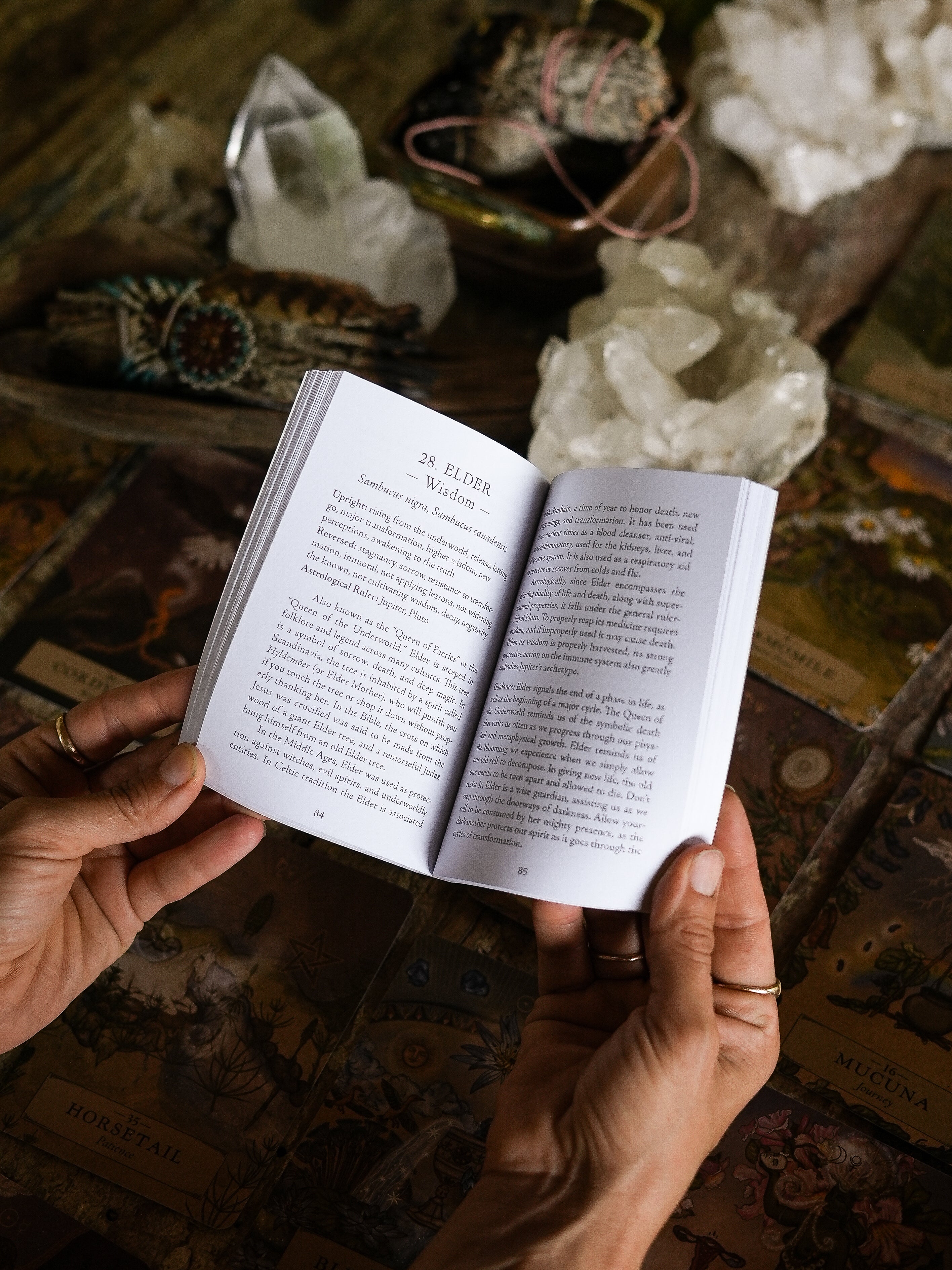 HERBAL ASTROLOGY Oracle | 55-Card Deck + Guidebook