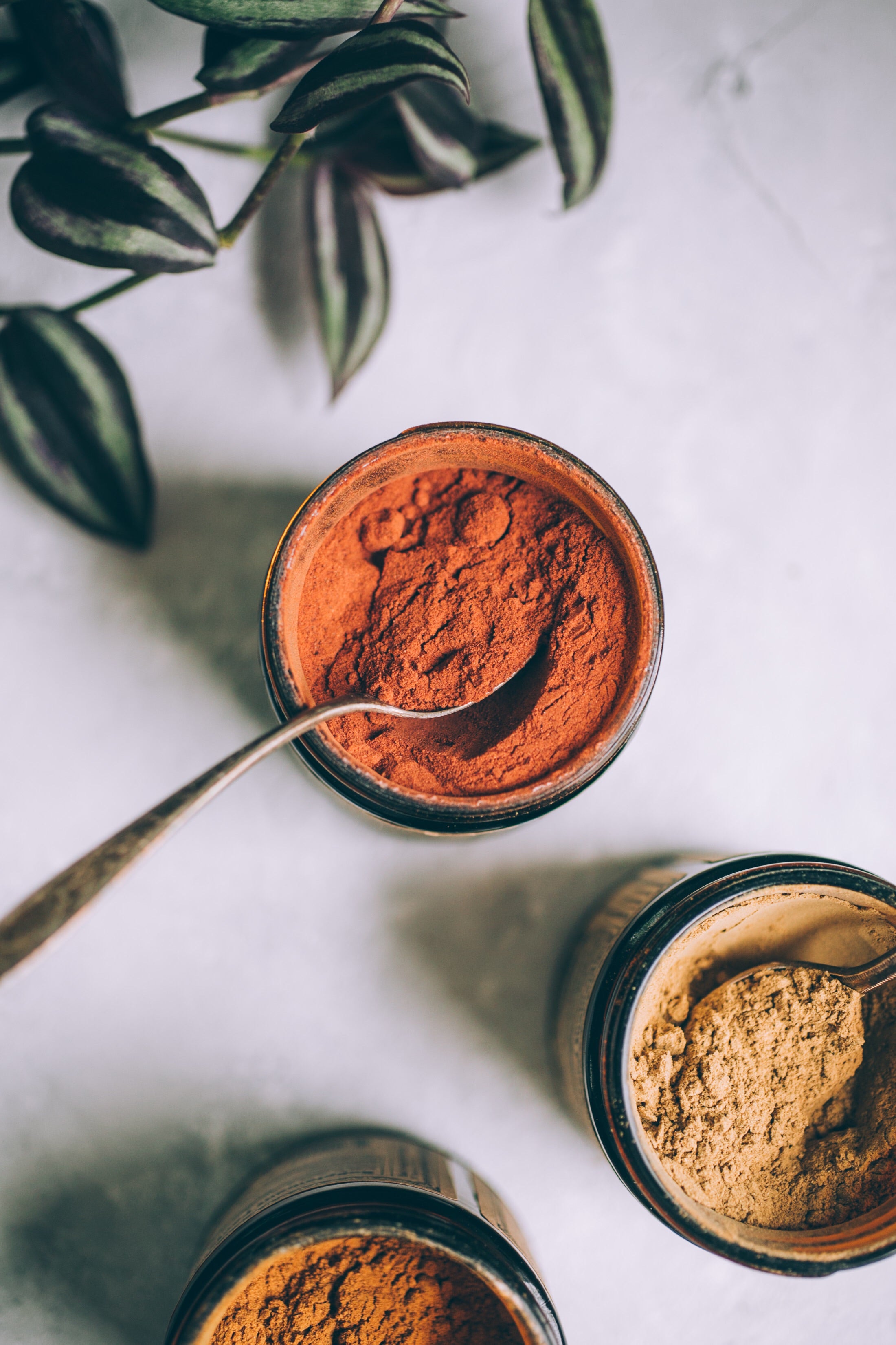 MANGOSTEEN HIBISCUS | Sample (1oz)