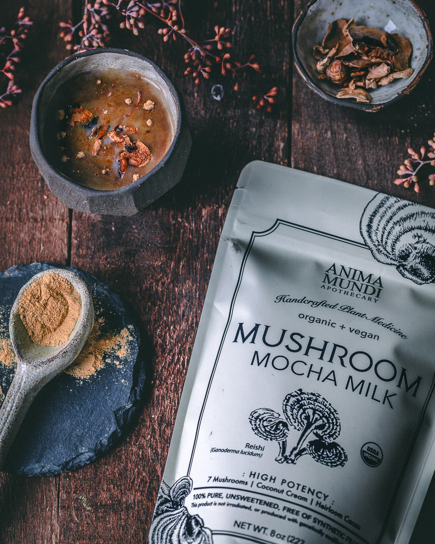 MUSHROOM MOCHA MILK | Adaptogenic Creamer*