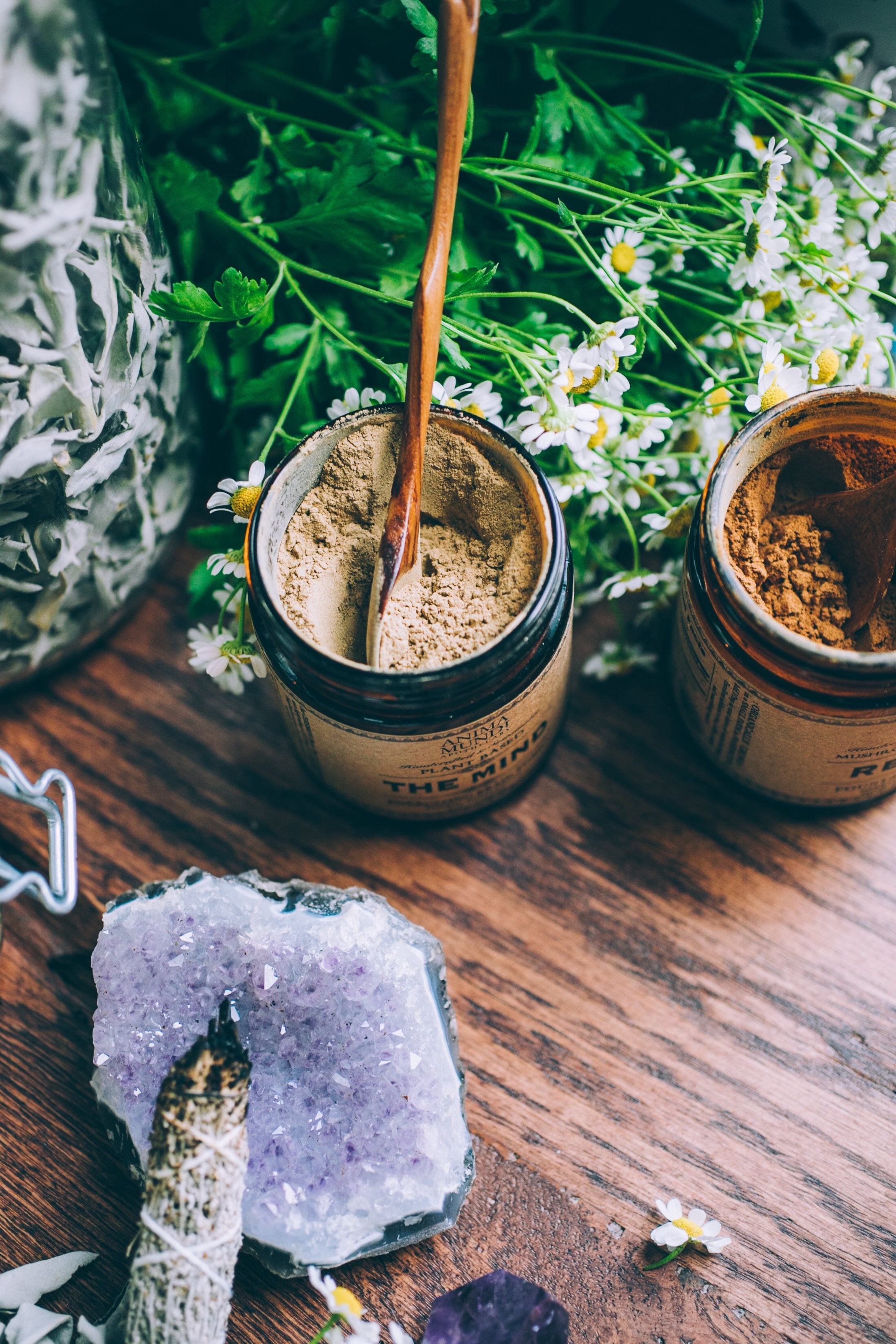 THE MIND | Cognition + Focus*